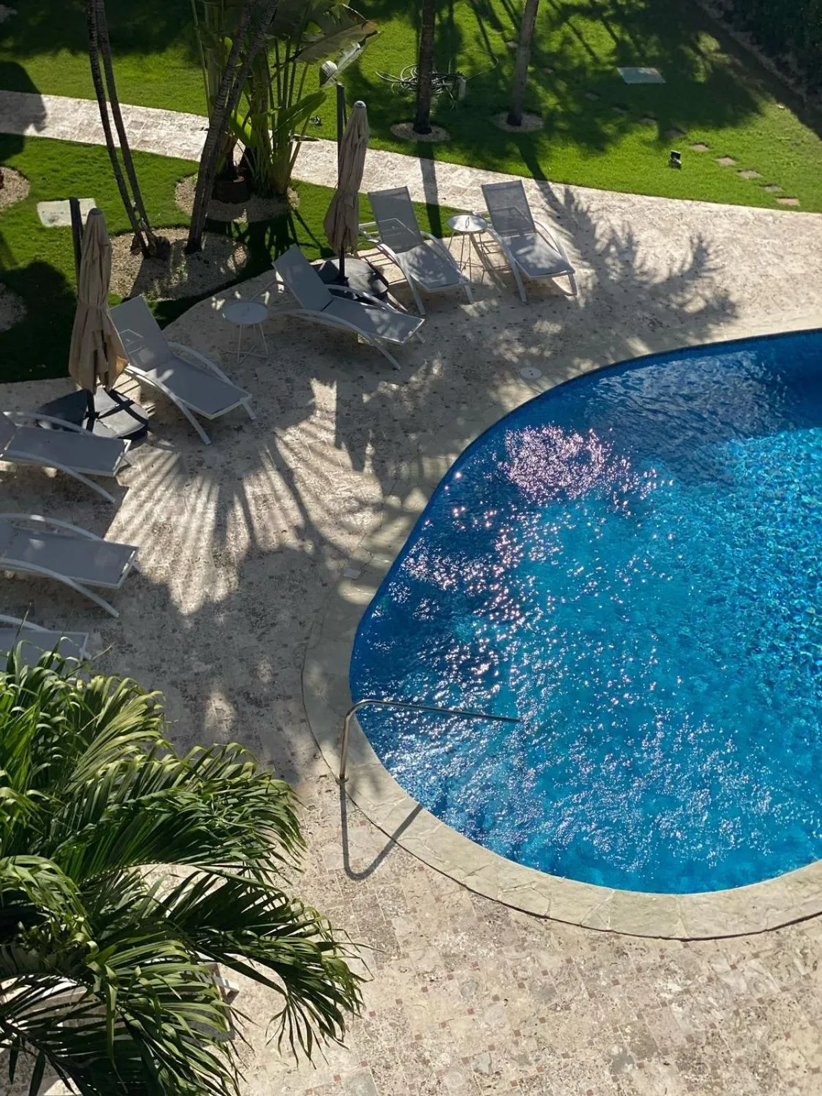 Garden in New Garden Hotel