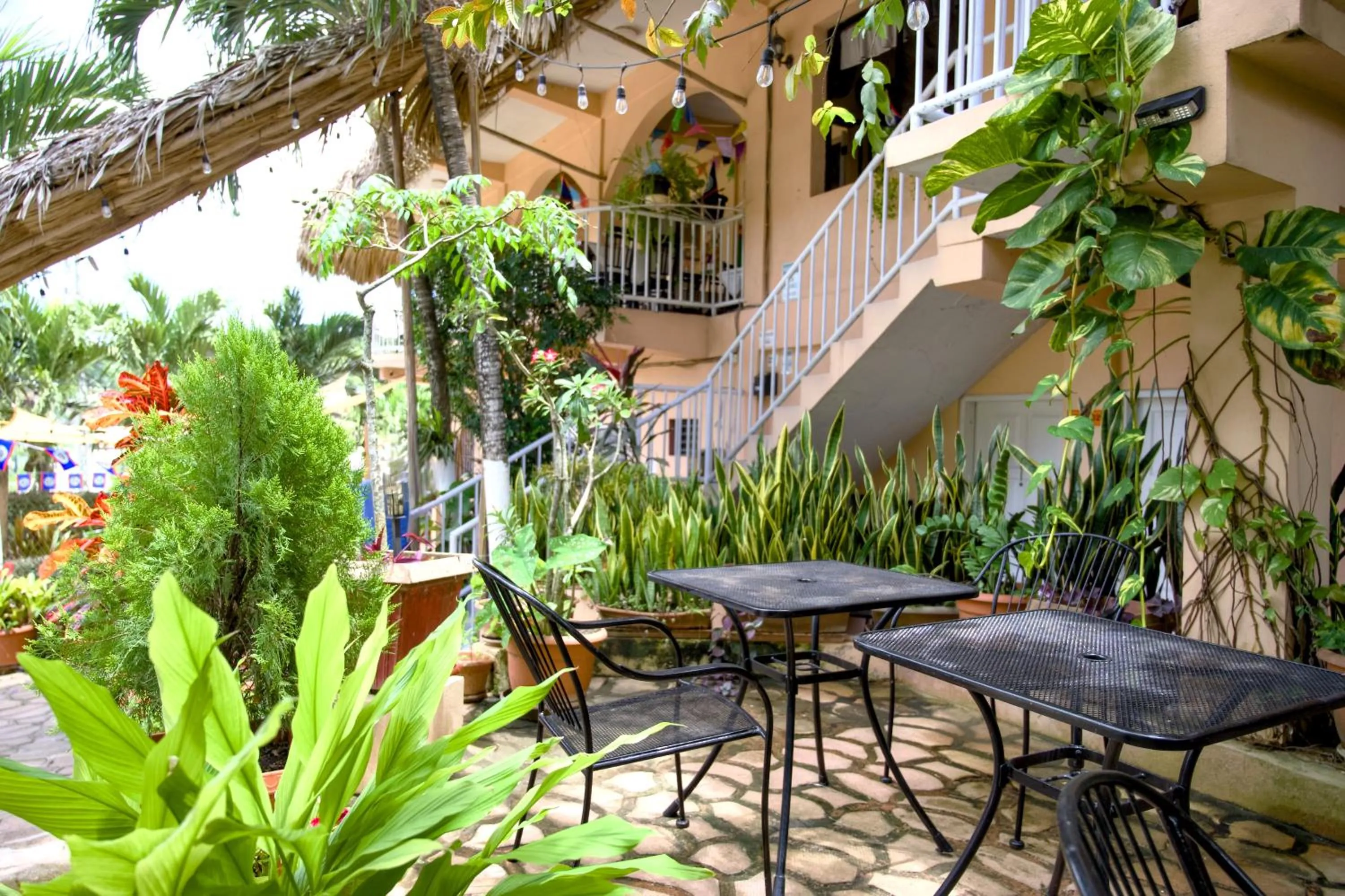 Restaurant/places to eat in Rolson Hotel