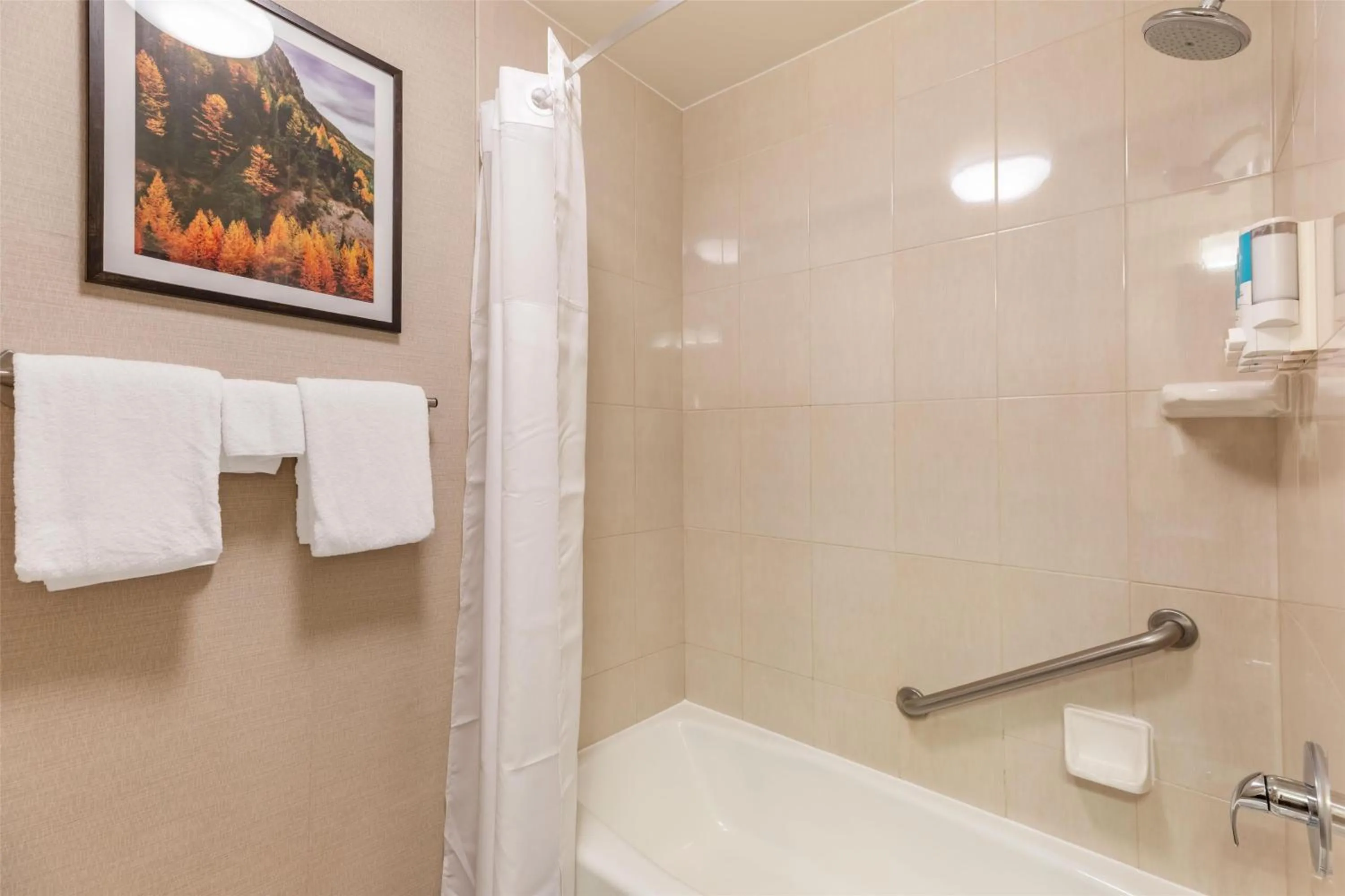 Bathroom in Drury Plaza Hotel Denver Central Park