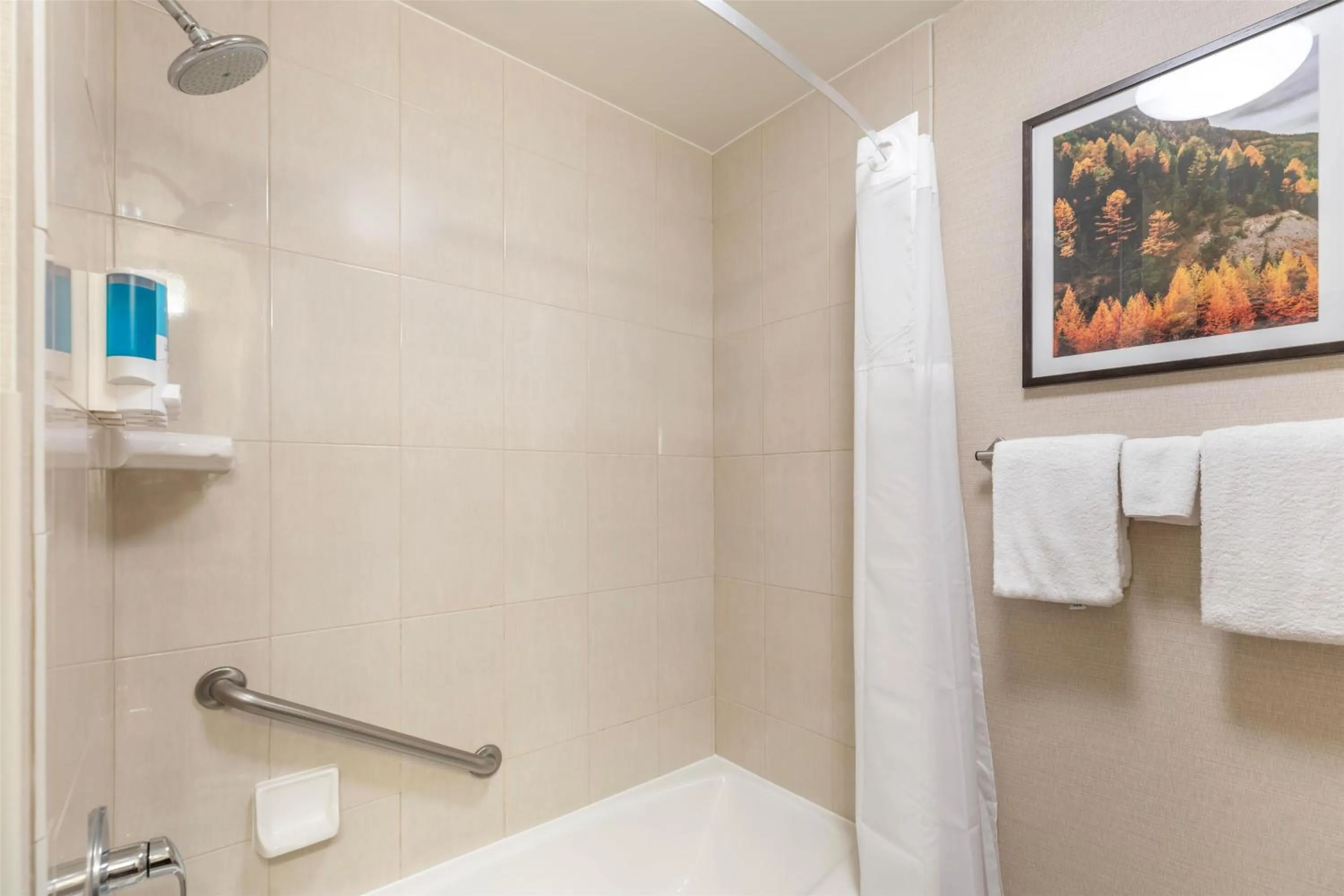 Bathroom in Drury Plaza Hotel Denver Central Park