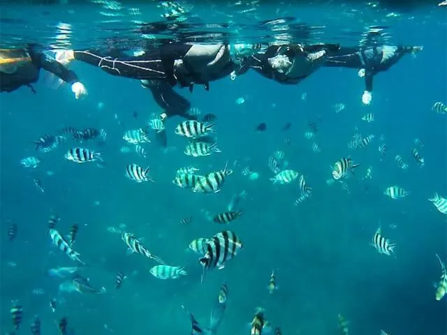 Holiday House Ryukyu-an "MUSIC HOSTEL"