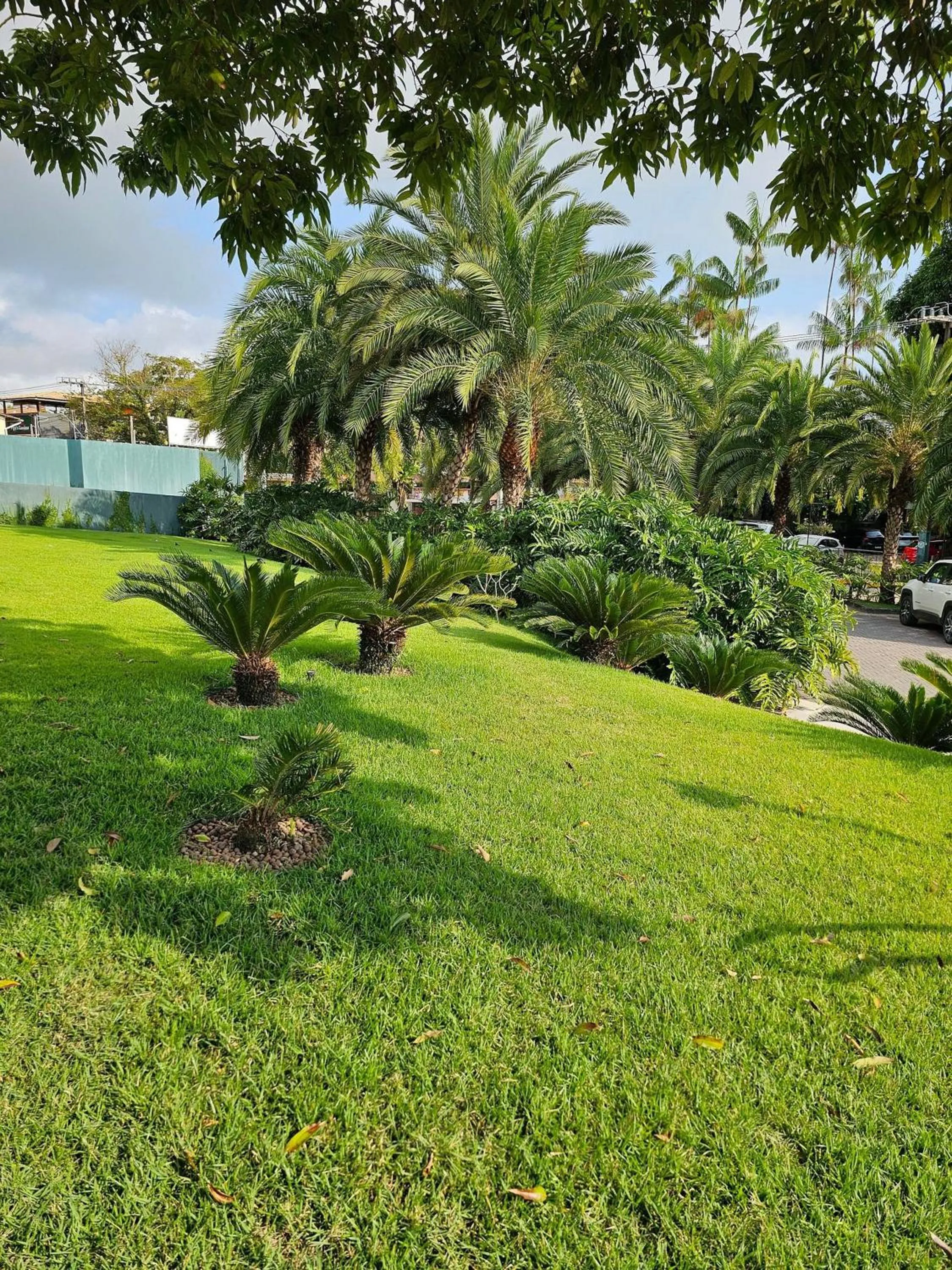 Garden view in Flat Luxo com piscina privativa Resort île de Pipa - Locar House