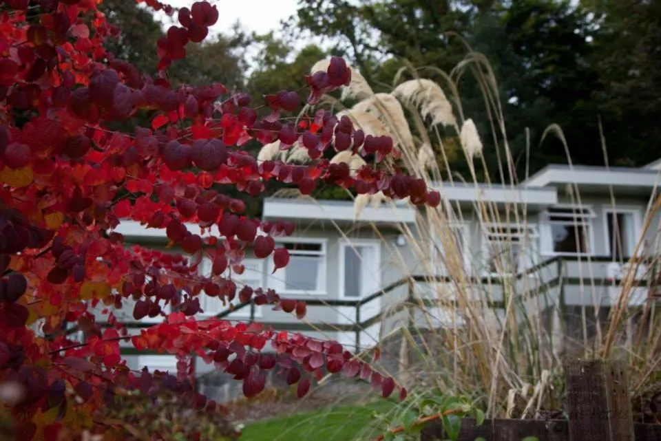 The Arran Lodge & Arran Sleep Huts