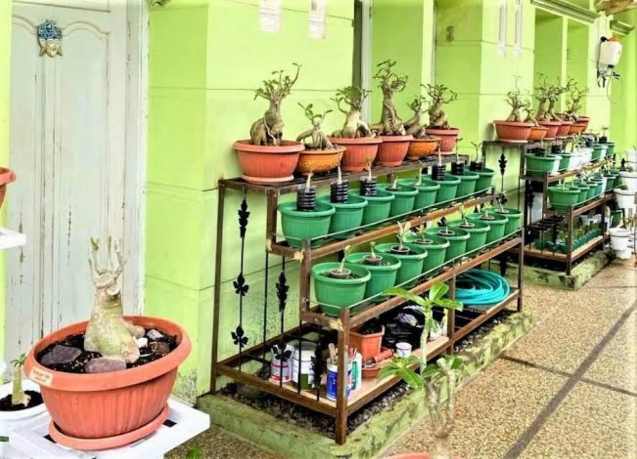 Facade/entrance in Hotel O Wisma Aliyah Near Sidrap