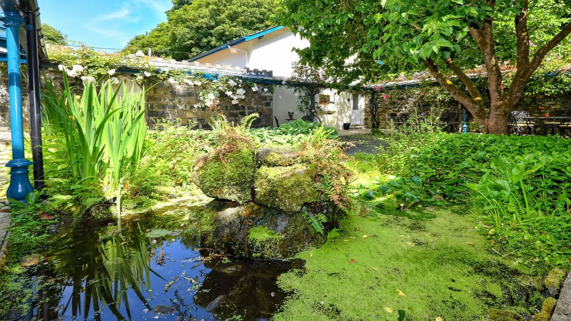 Plas Bodegroes