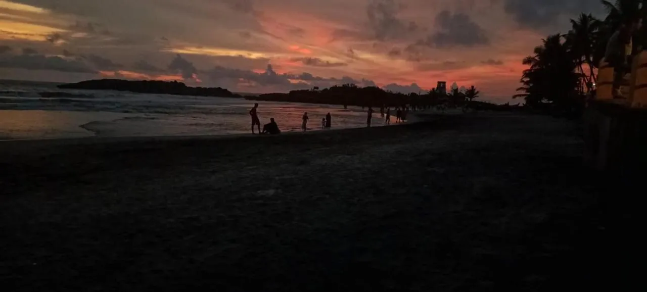Beach in tippys beach resort