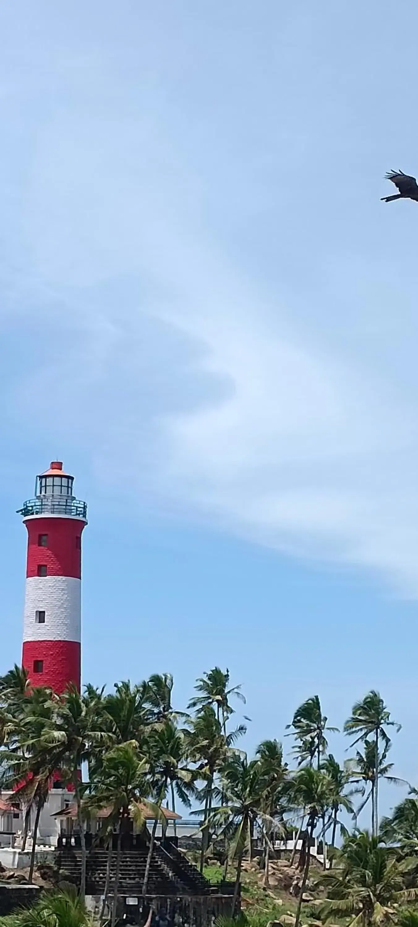 View (from property/room) in tippys beach resort View (from property/room) in tippys beach resort