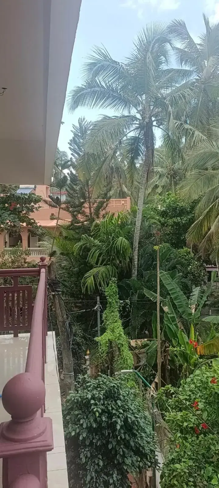 Property building in tippys beach resort Property building in tippys beach resort