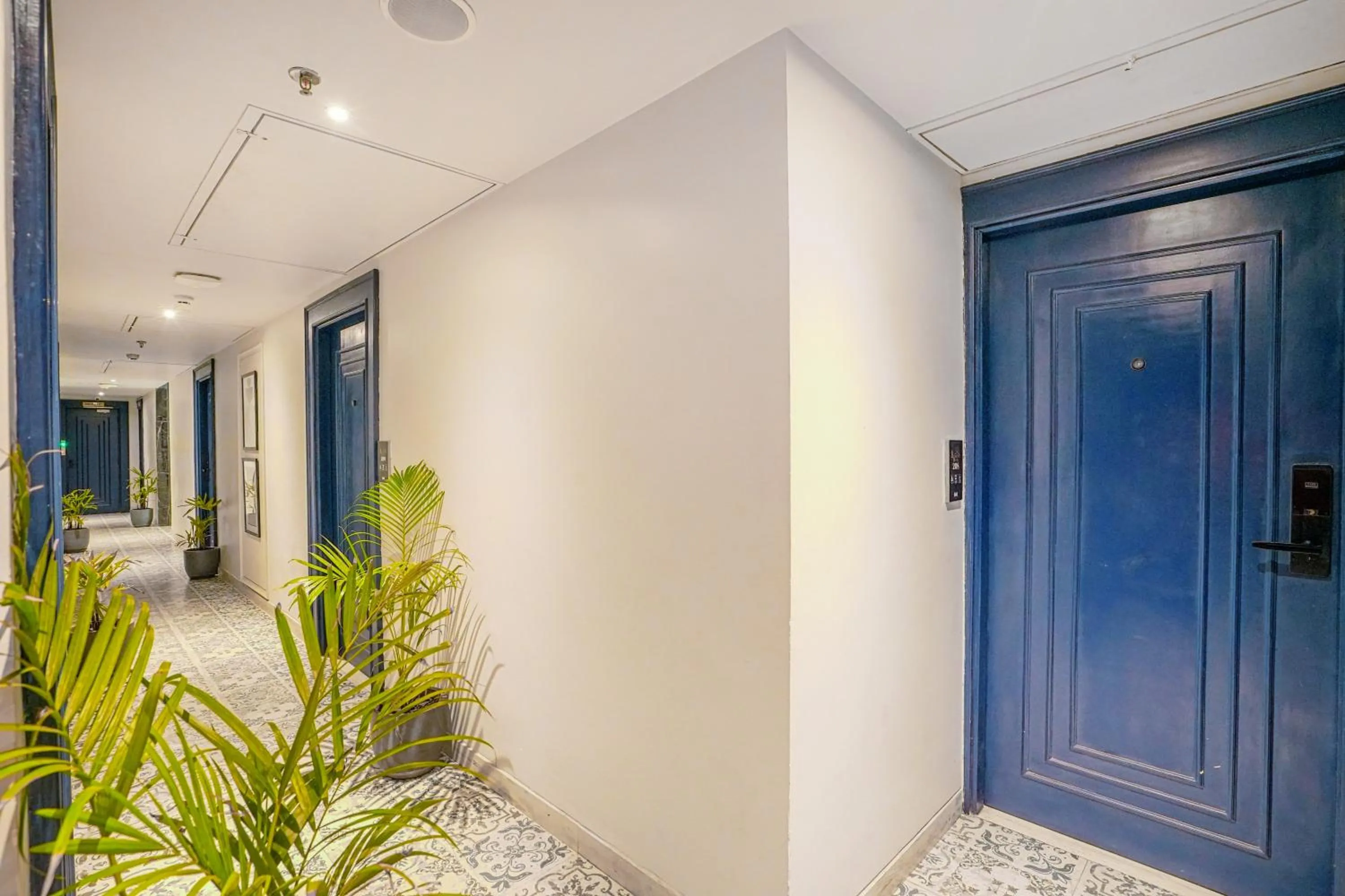 The Belmonte House By Levelup