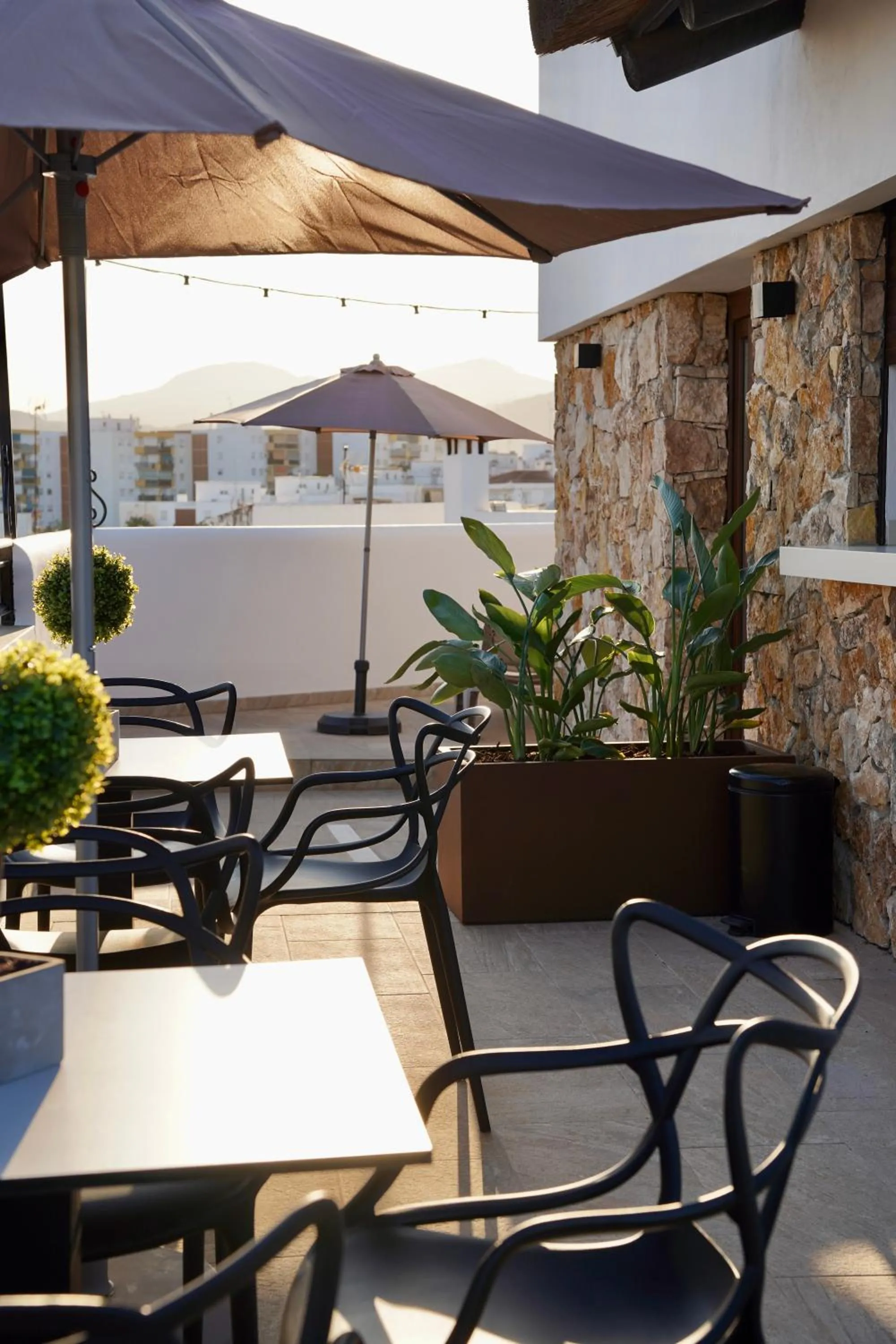 Solarium in Hotel Boutique Casa Veracruz