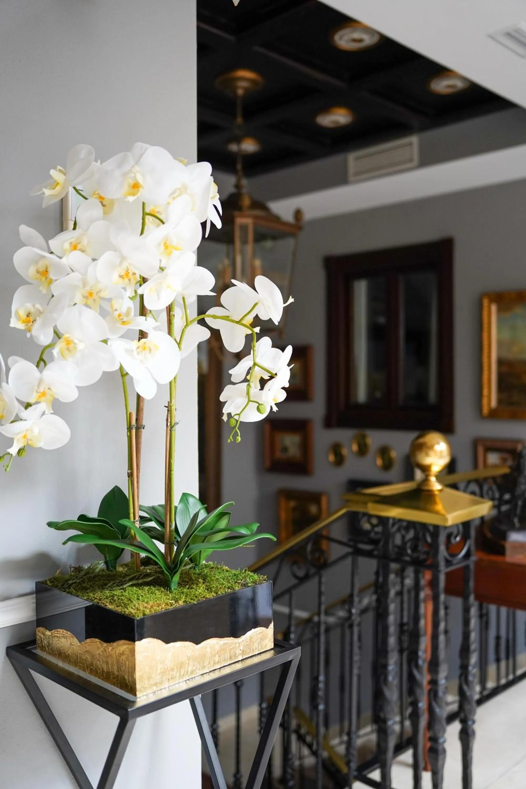 Patio in Hotel Boutique Casa Veracruz