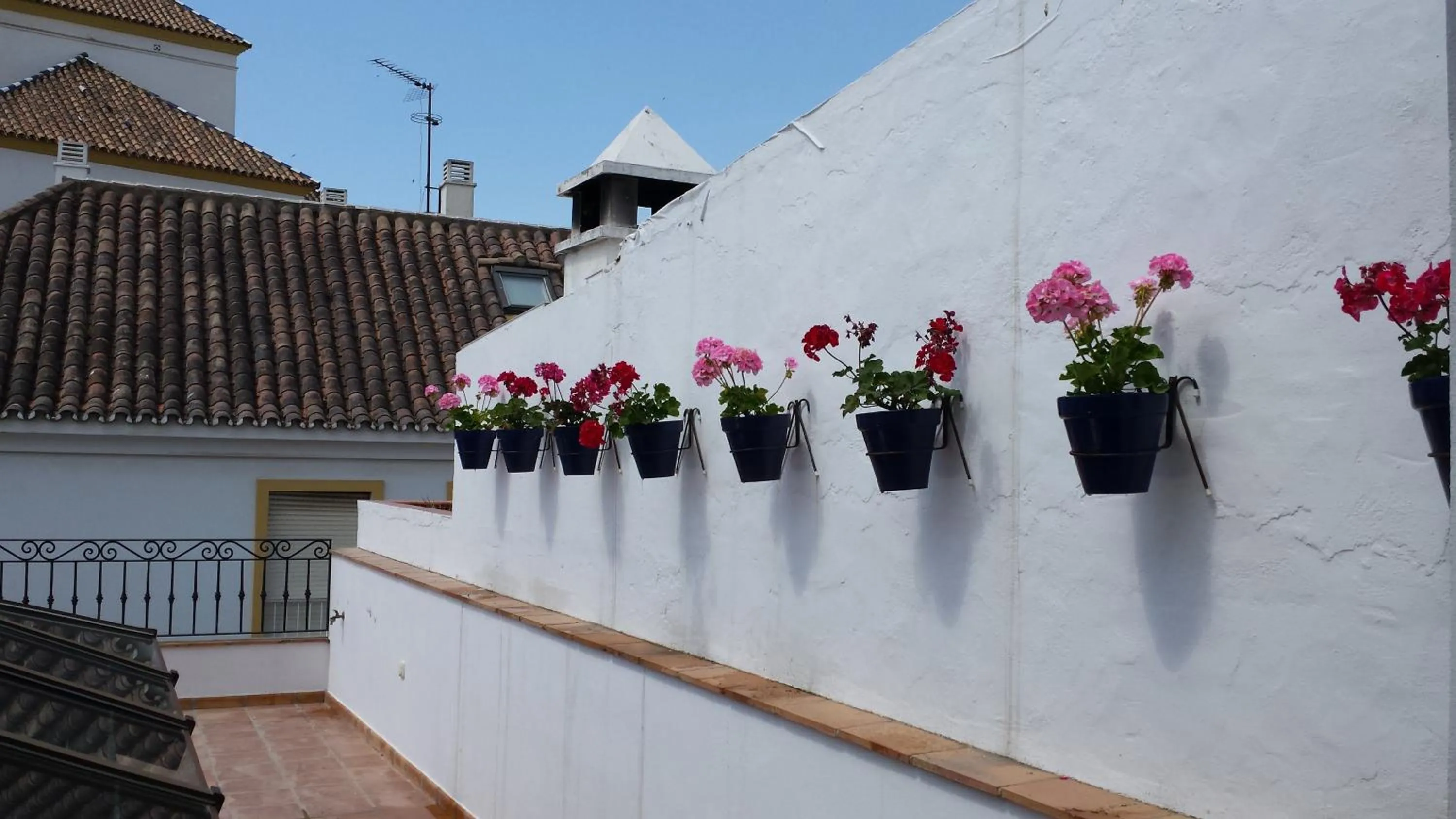 Balcony/Terrace in Hotel Boutique Casa Veracruz