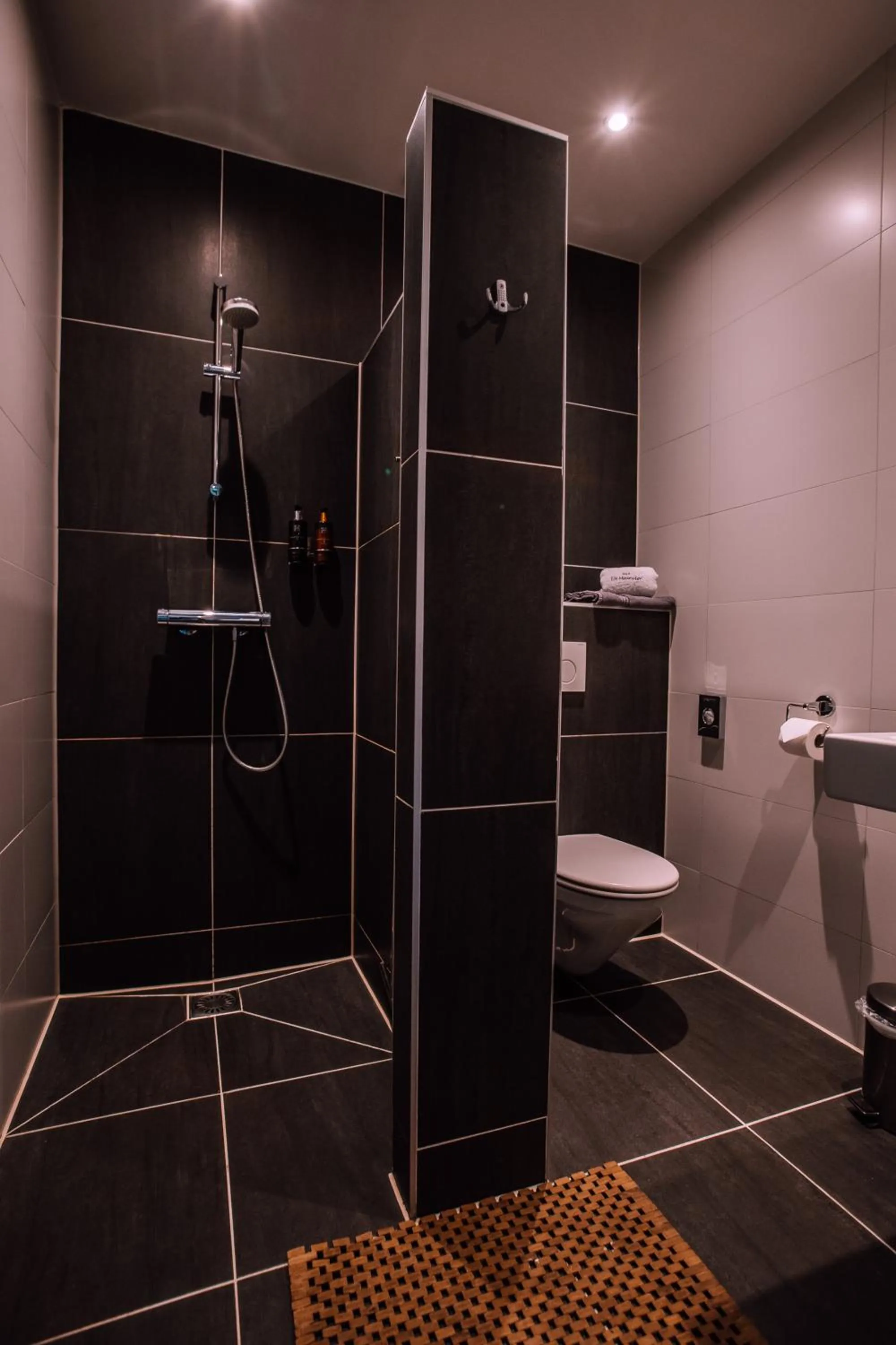 Shower in B&B/Boertel de Meander