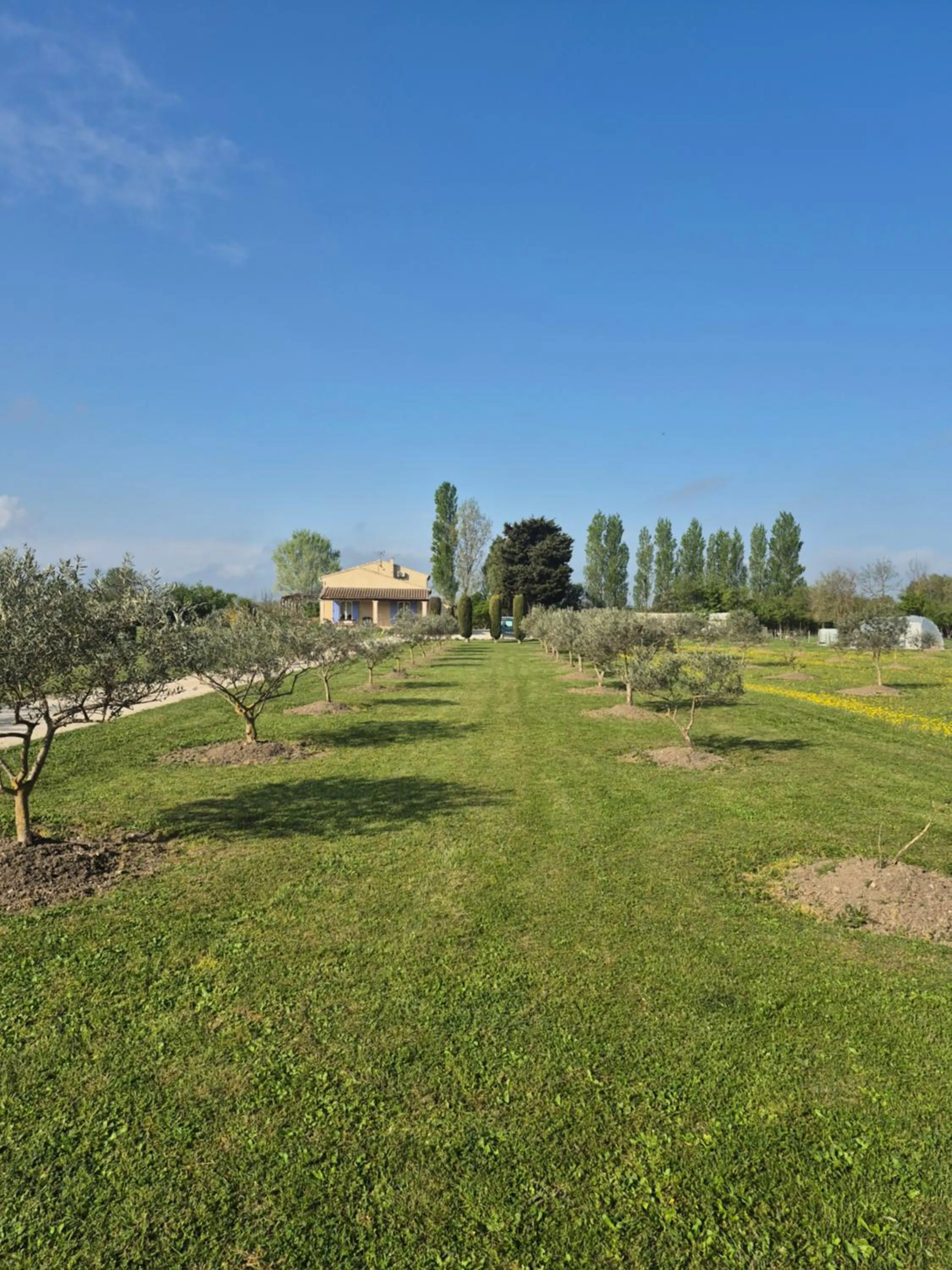 Natural landscape in Mas Clement - Chambre et table d'hôtes