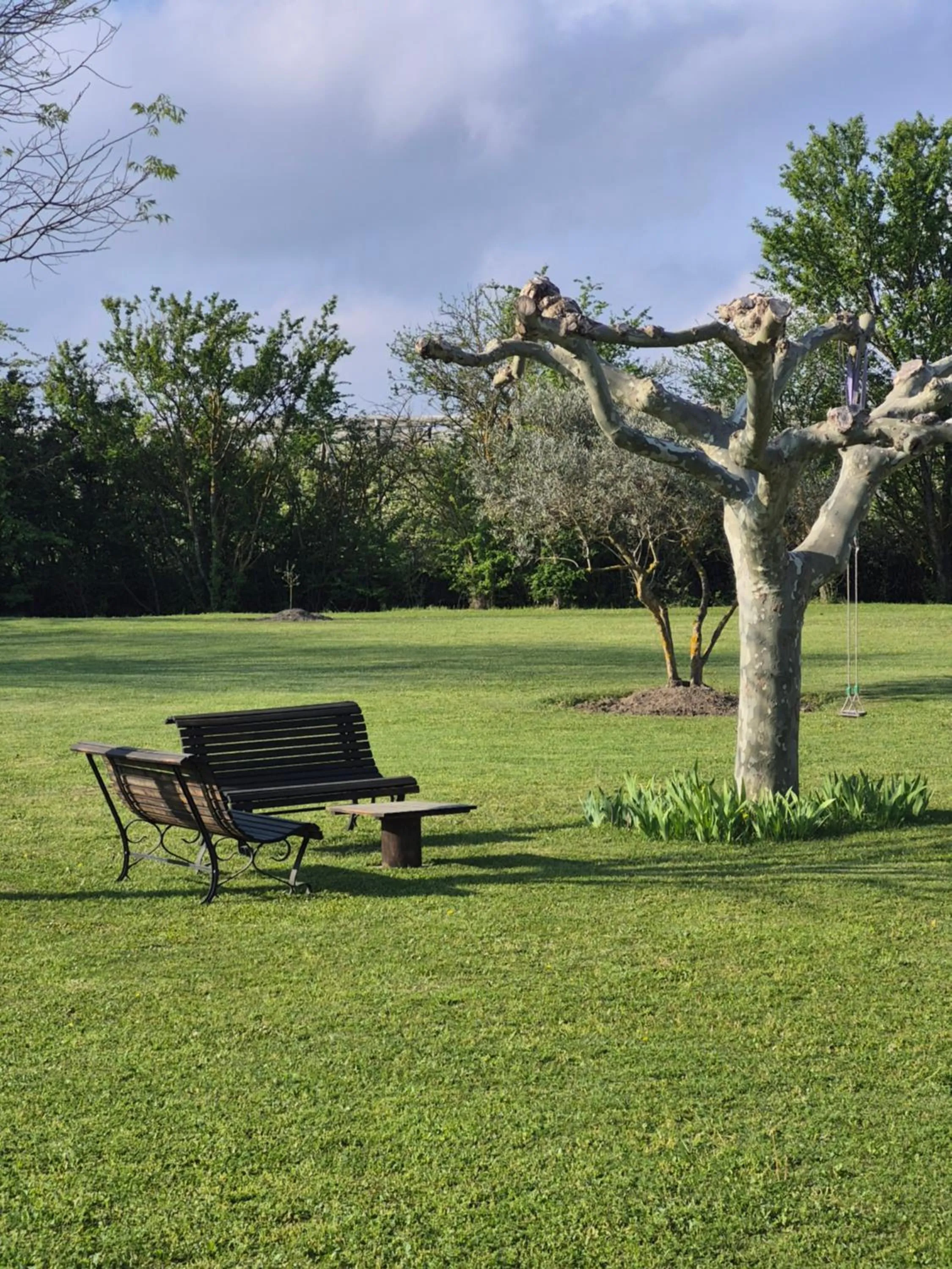 Garden in Mas Clement - Chambre et table d'hôtes
