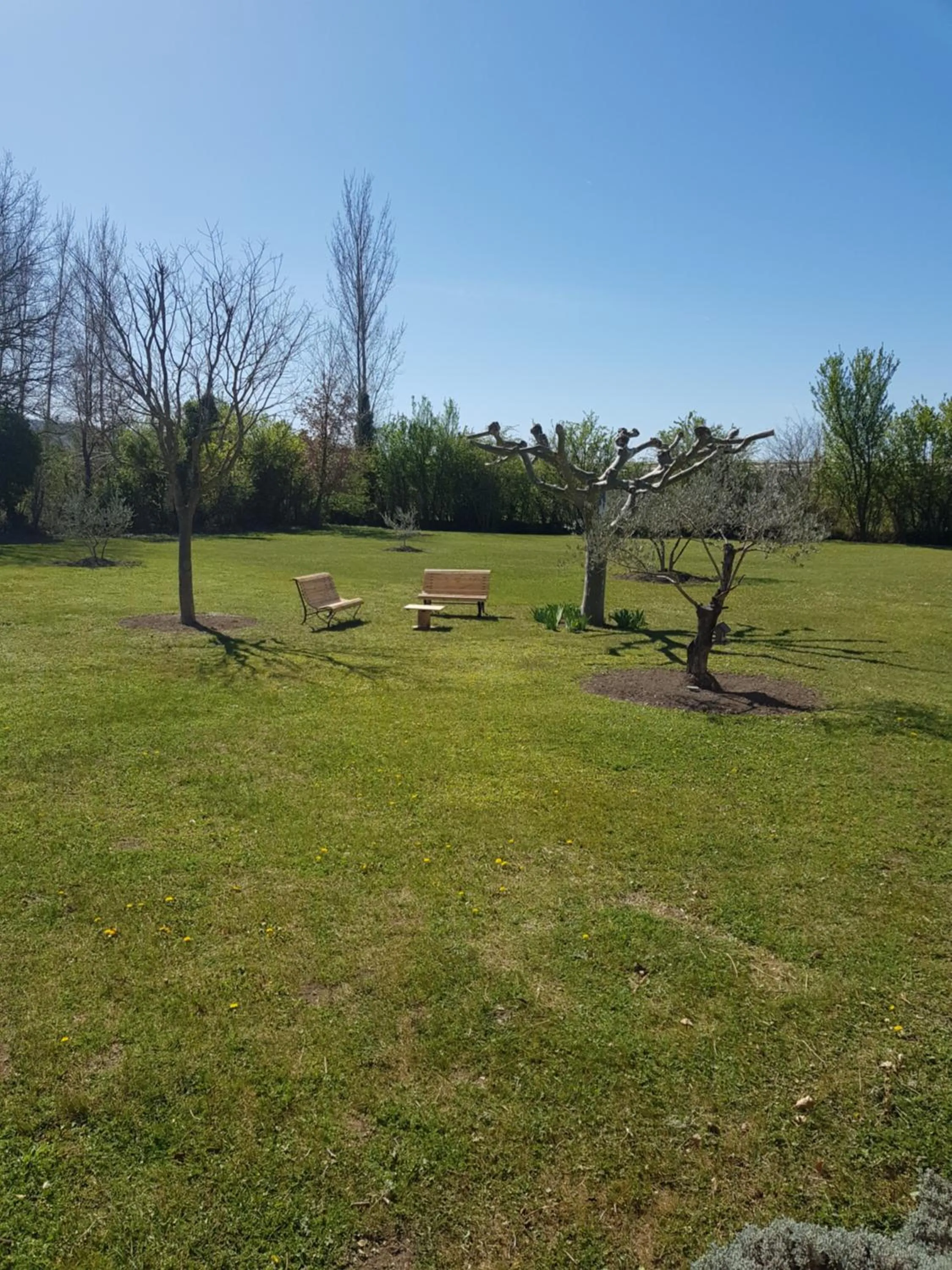 Garden view in Mas Clement - Chambre et table d'hôtes