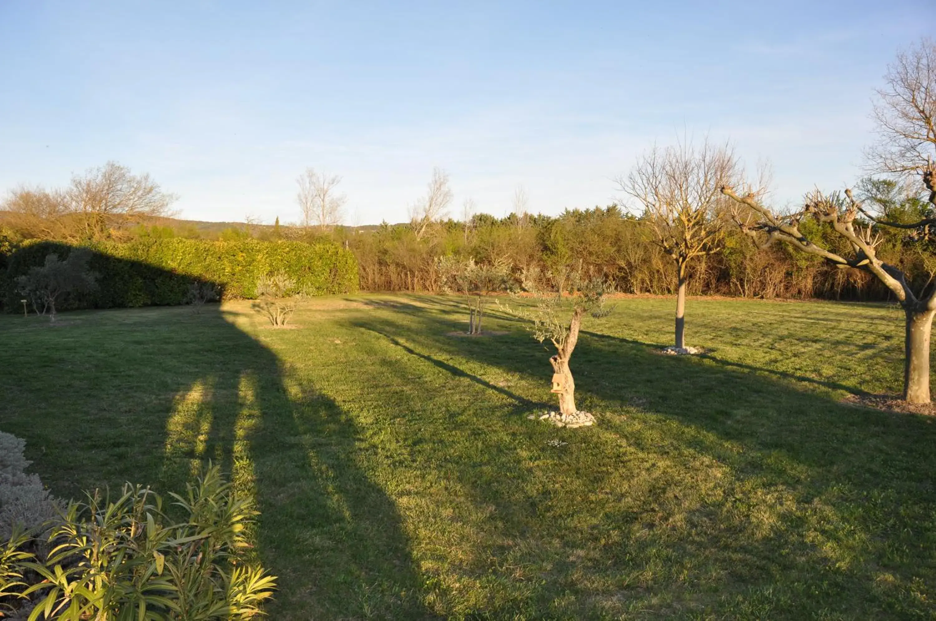 Standard Suite in Mas Clement - Chambre et table d'hôtes Standard Suite in Mas Clement - Chambre et table d'hôtes