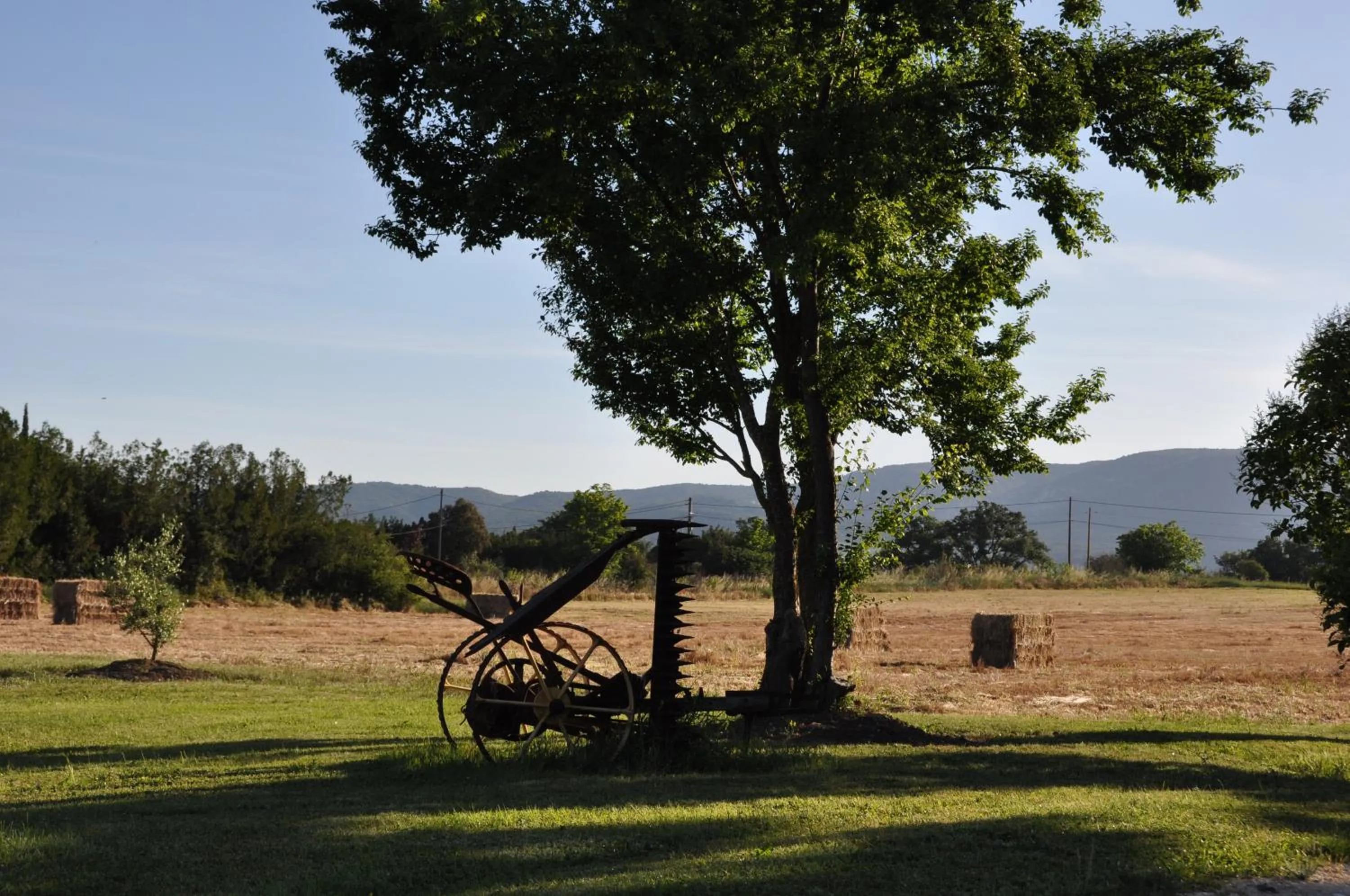 Garden in Mas Clement - Chambre et table d'hôtes