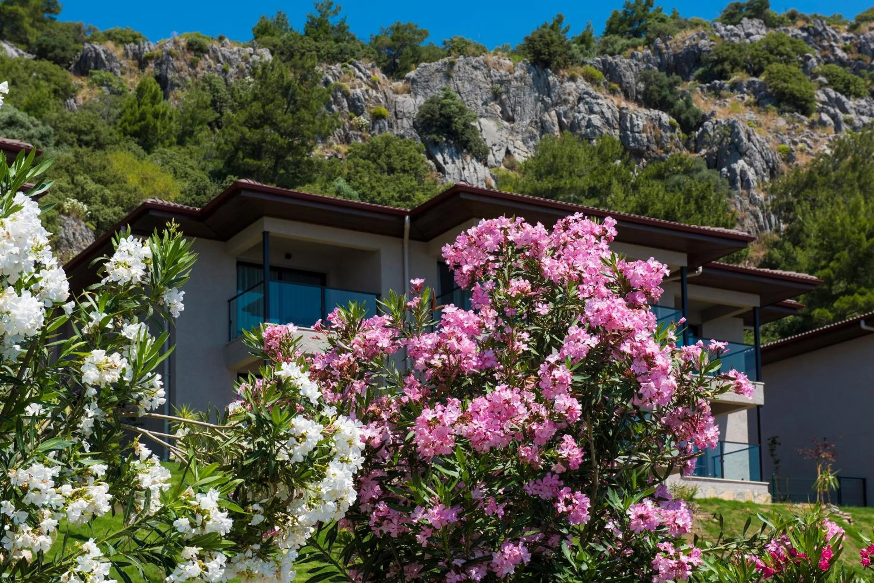 Garden in TUI BLUE Seno - Adults Only