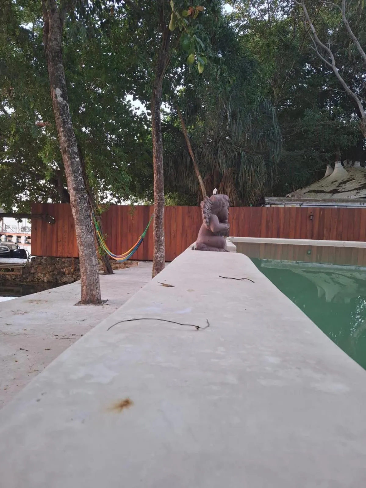 Pool view in Hotel Casa Del Angel