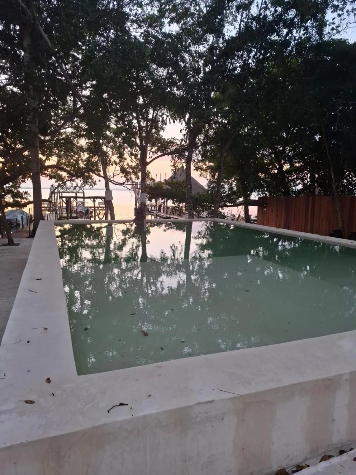 Natural landscape in Hotel Casa Del Angel