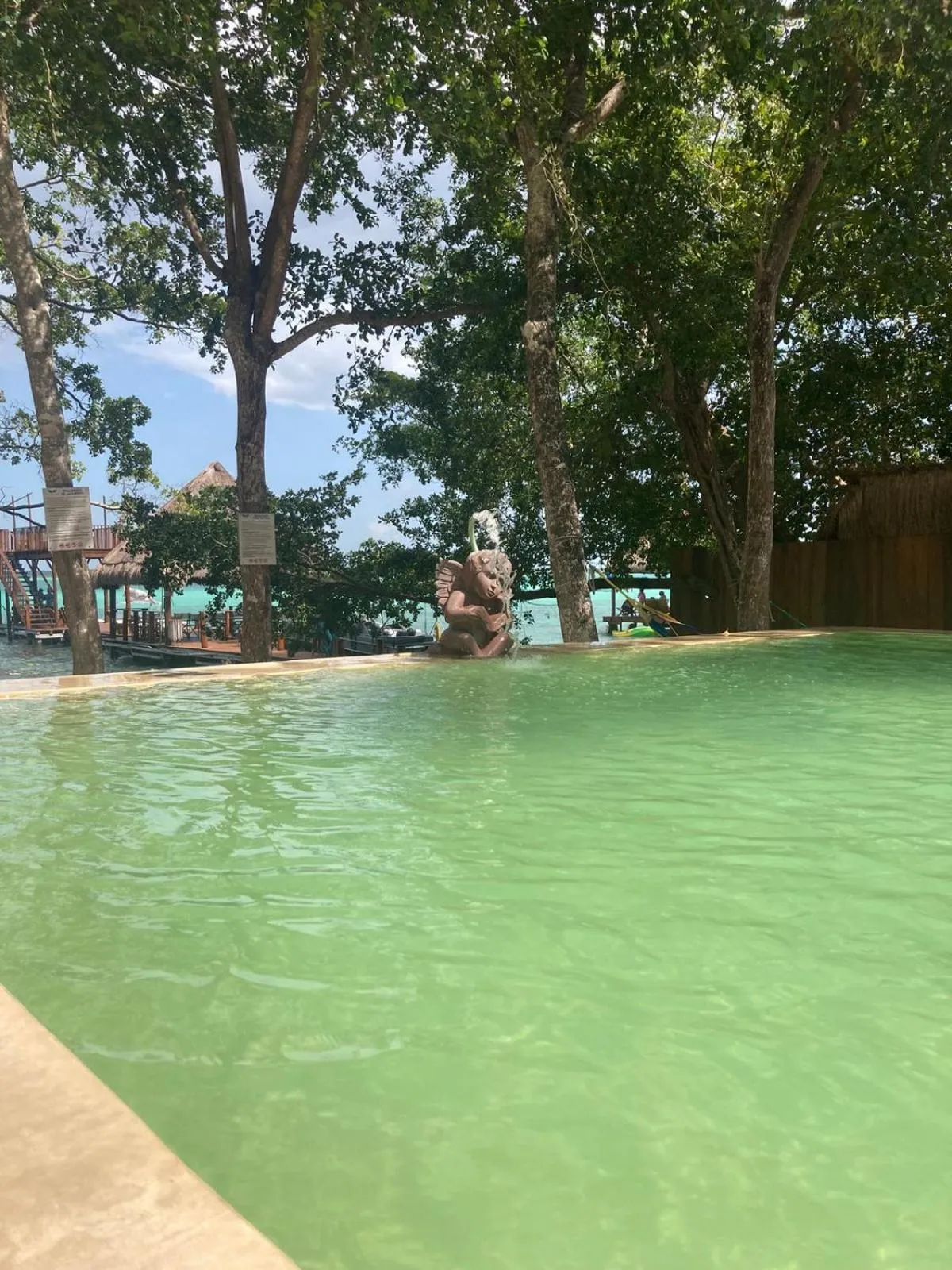 Natural landscape in Hotel Casa Del Angel