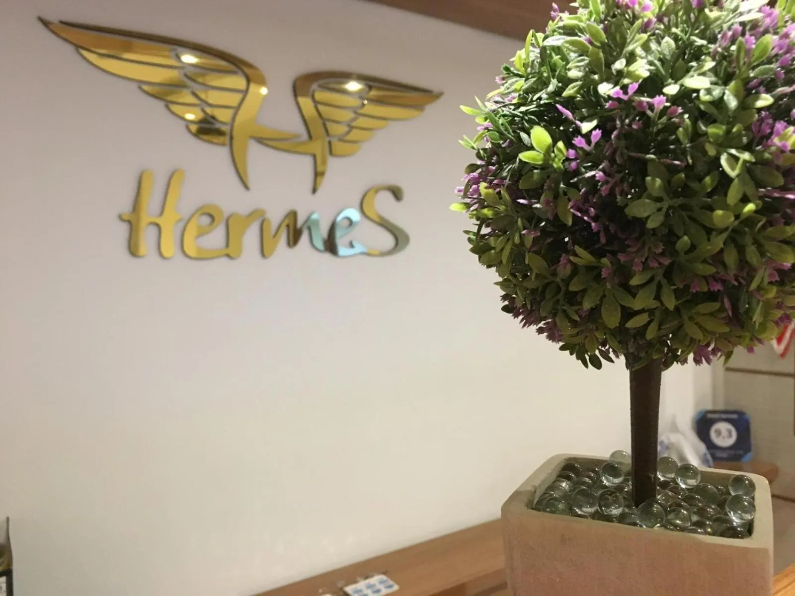 Lobby or reception in Hermes Hotel