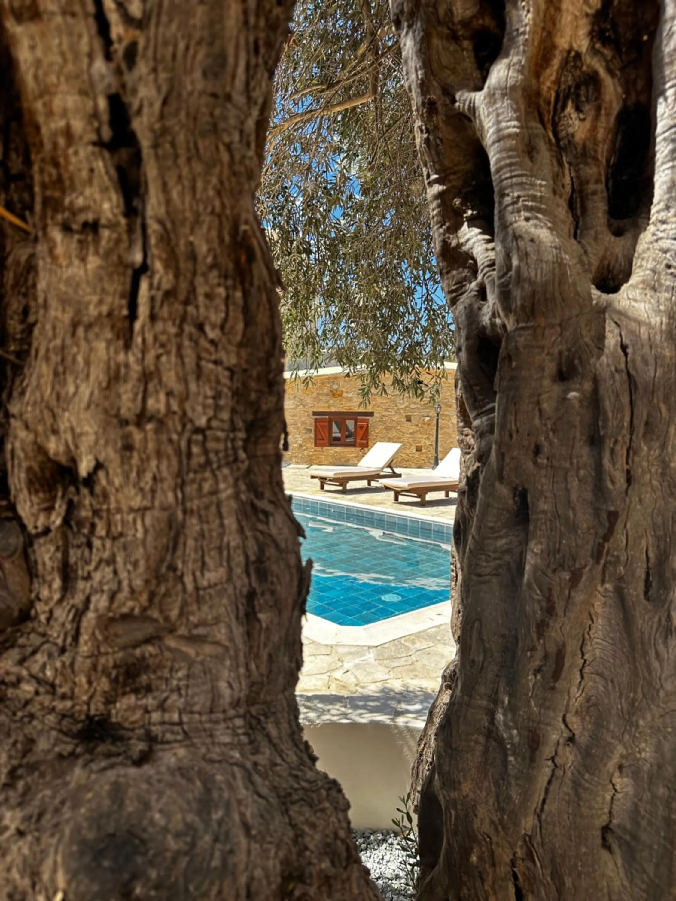 Day in Stone Court Boutique Studios