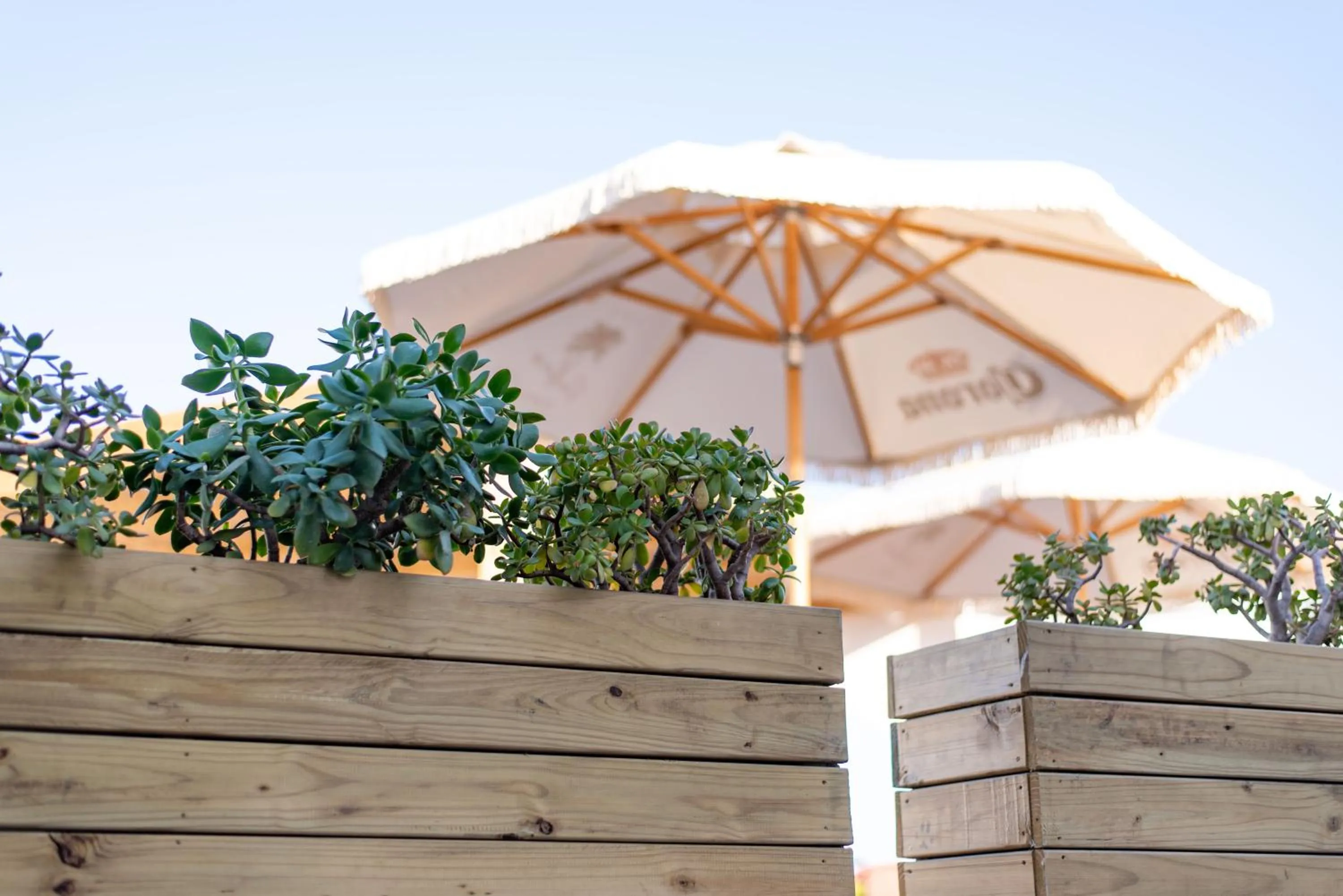 Patio in The Ivory Haus