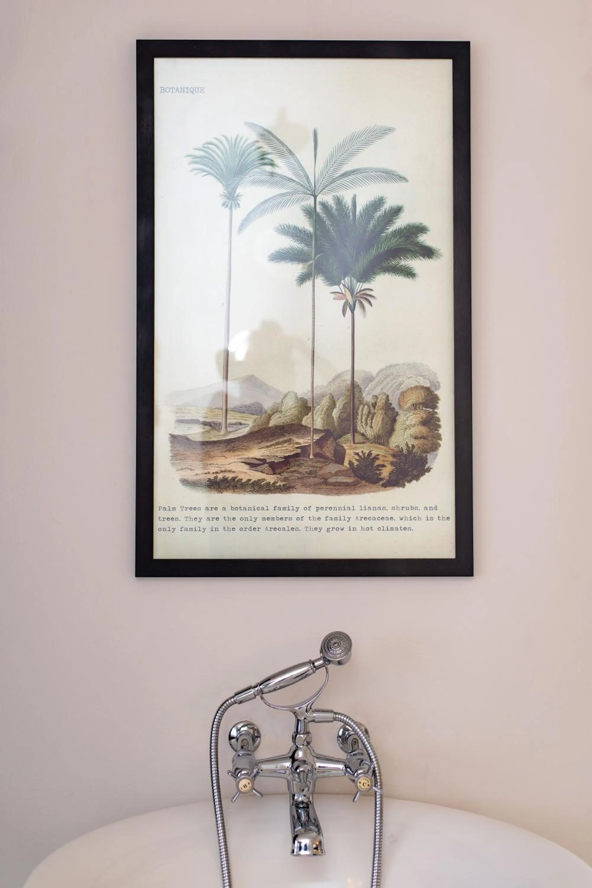 Decorative detail in The Ivory Haus