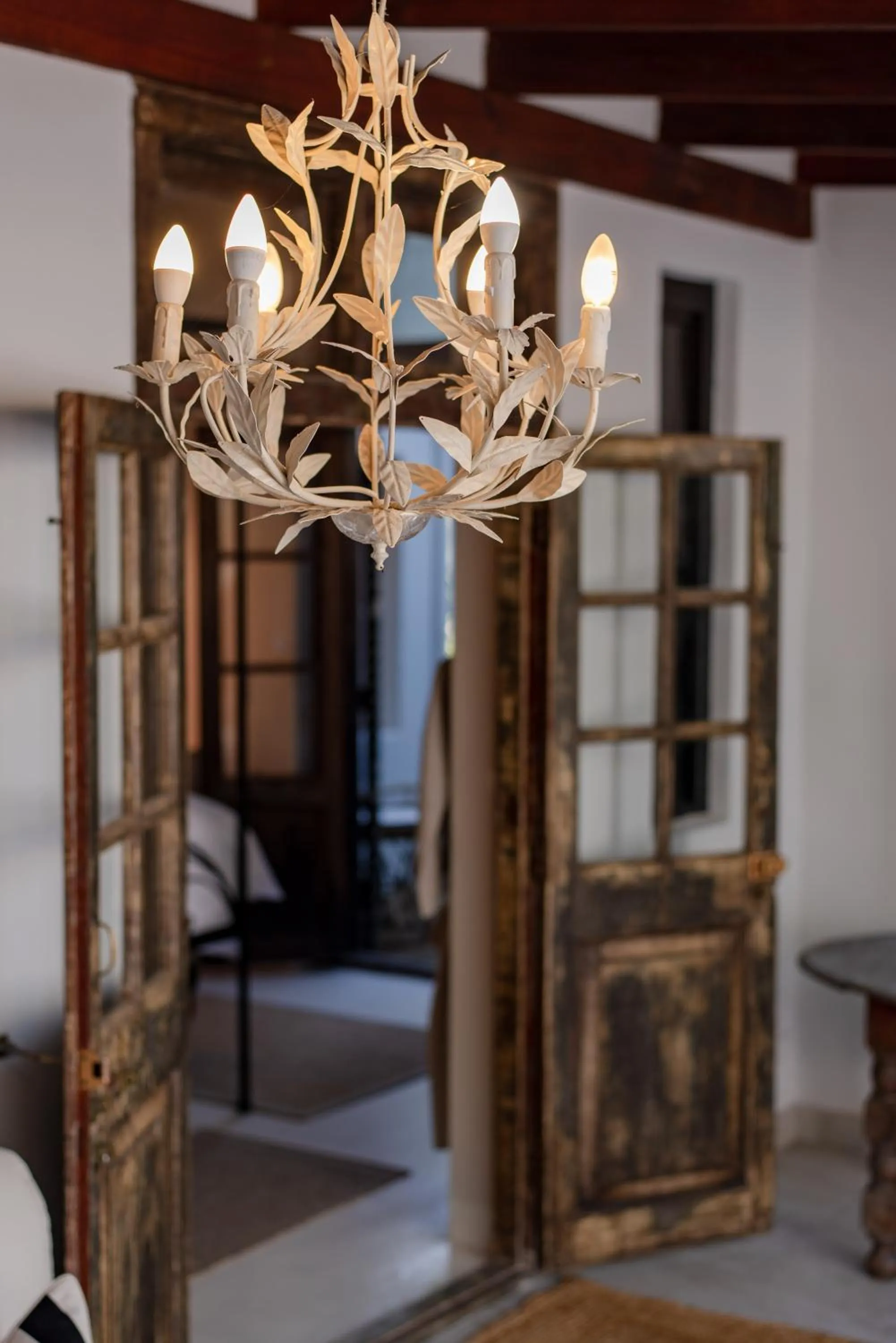 Patio in The Ivory Haus