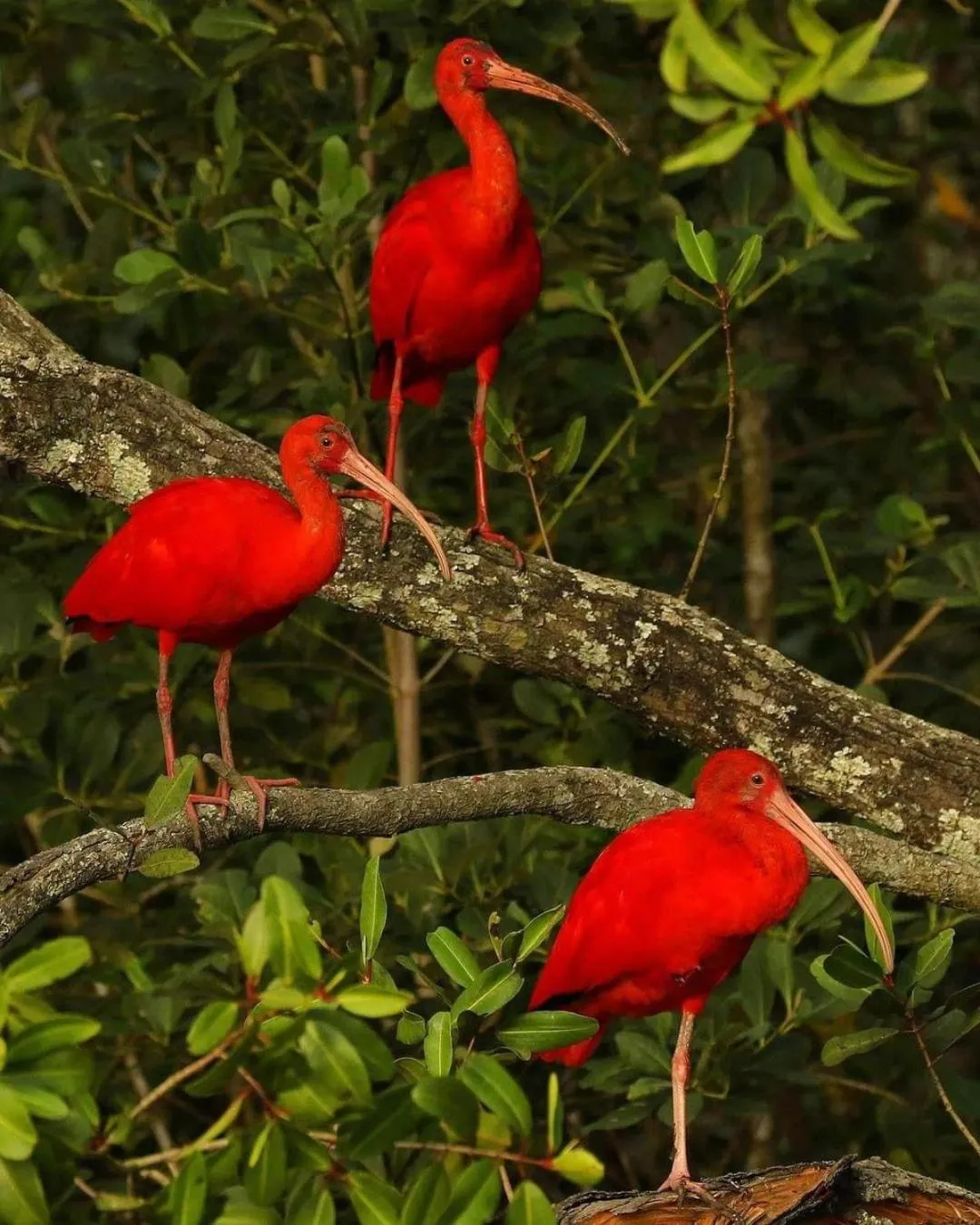 Nearby landmark in Pousada Del Mare