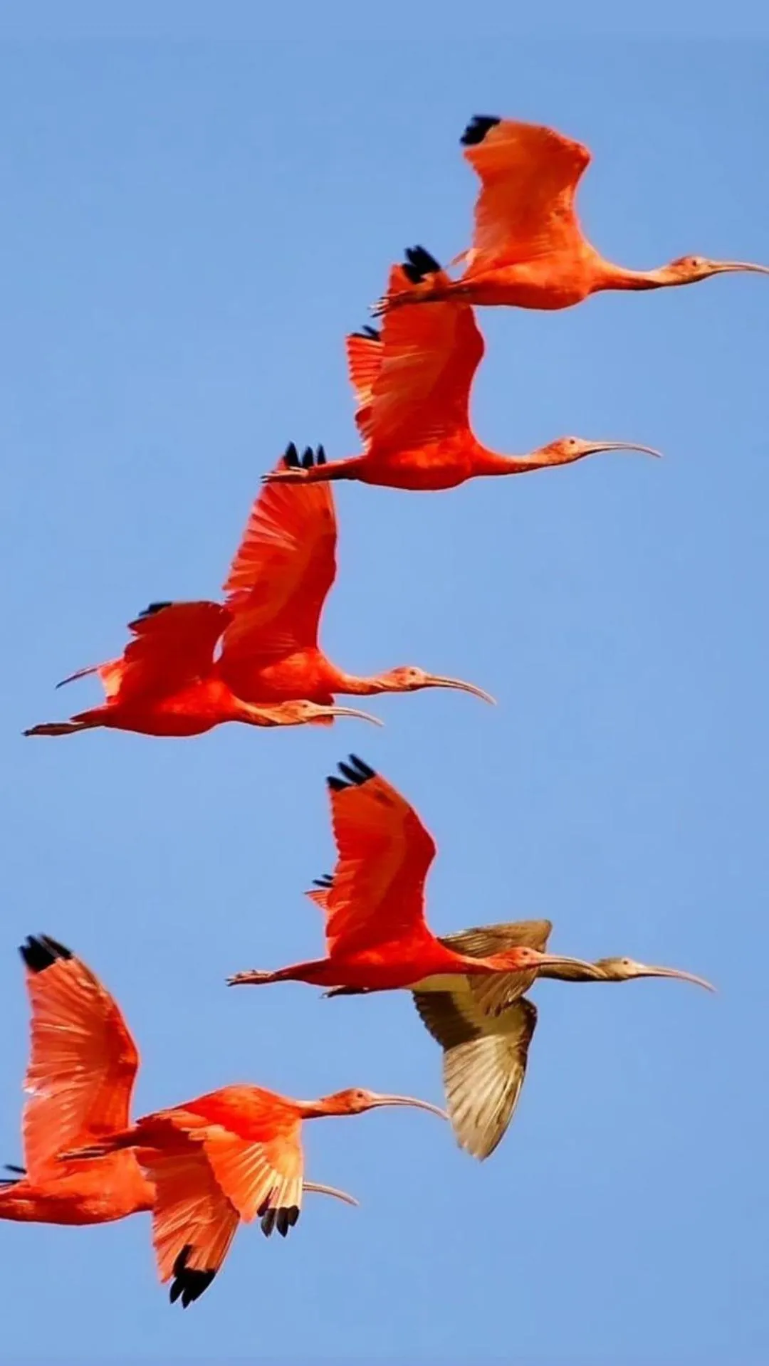 Natural landscape in Pousada Del Mare