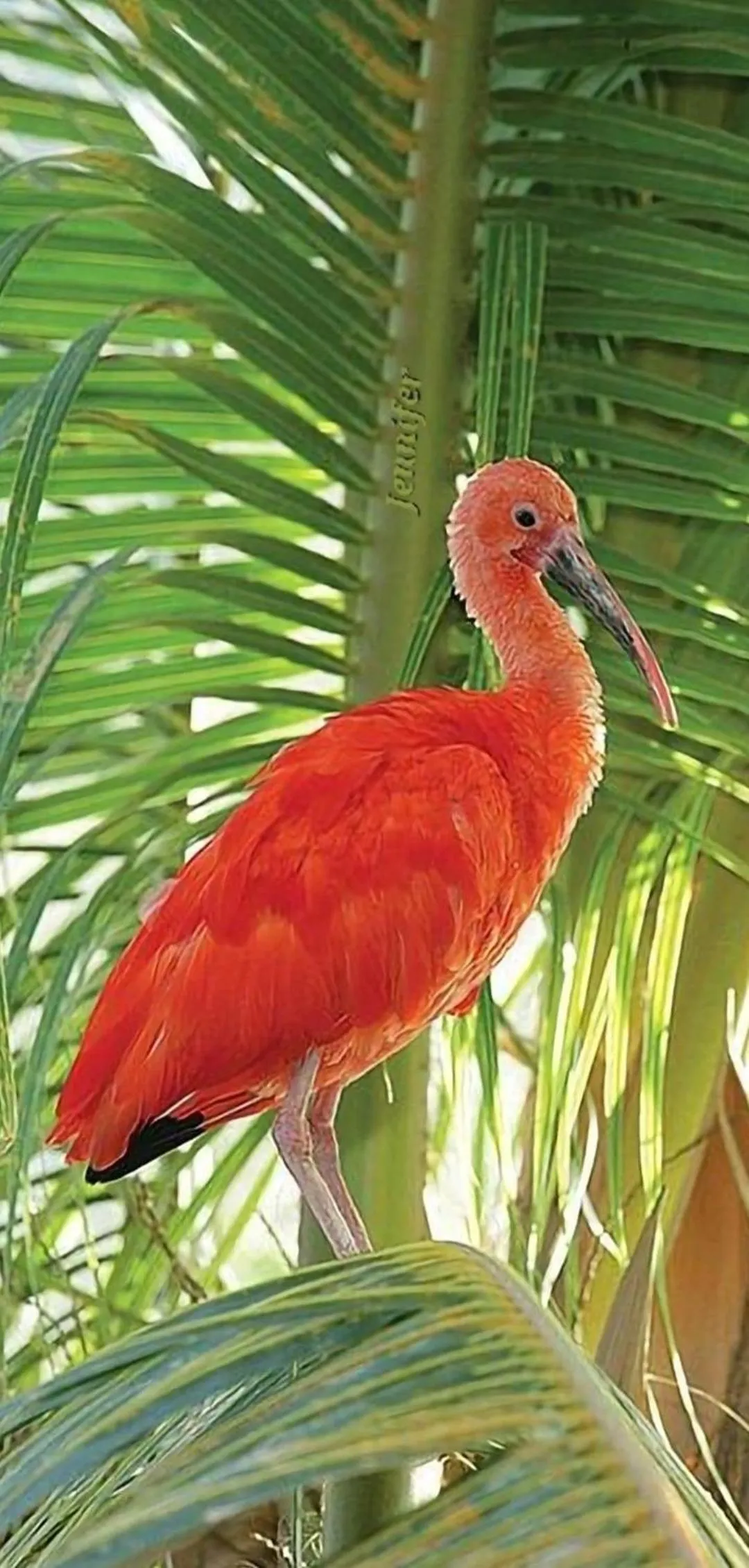 Natural landscape in Pousada Del Mare