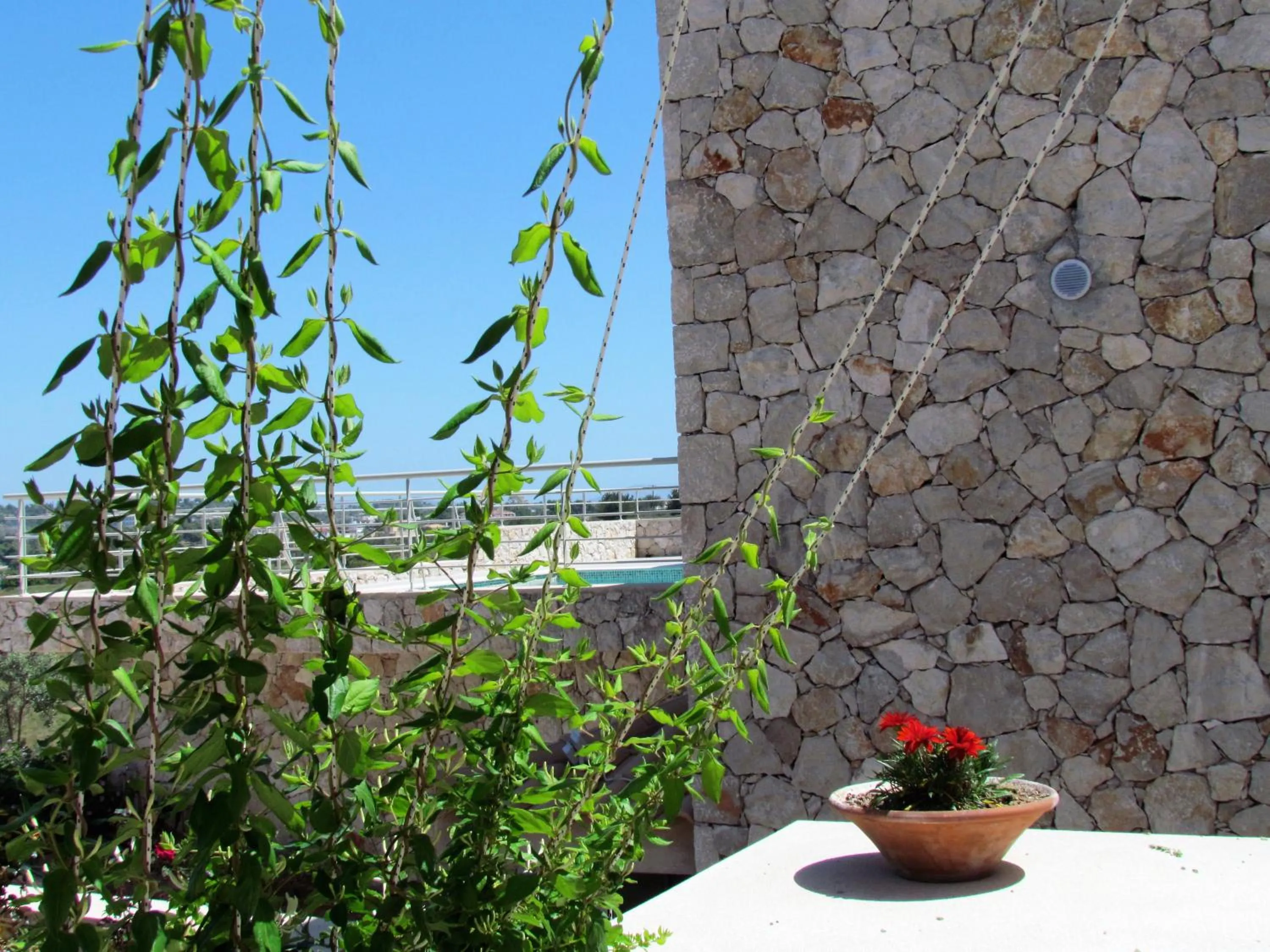 Garden in Edem Resort