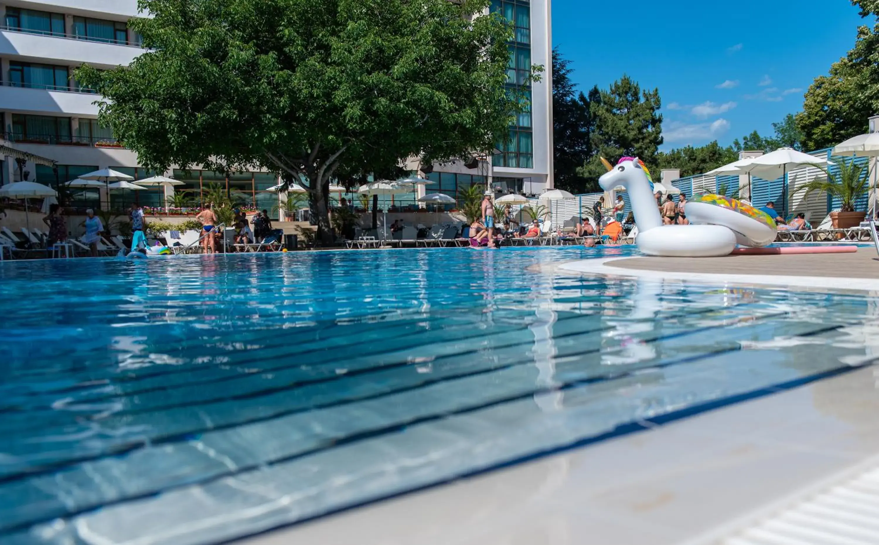 Swimming pool in MiRaBelle Hotel - All Inclusive Swimming pool in MiRaBelle Hotel - All Inclusive