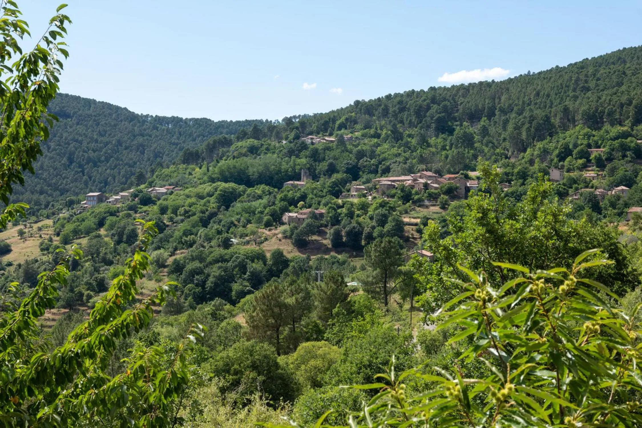 Natural landscape in Domaine de Chalvêches Hôtel SPA 4*