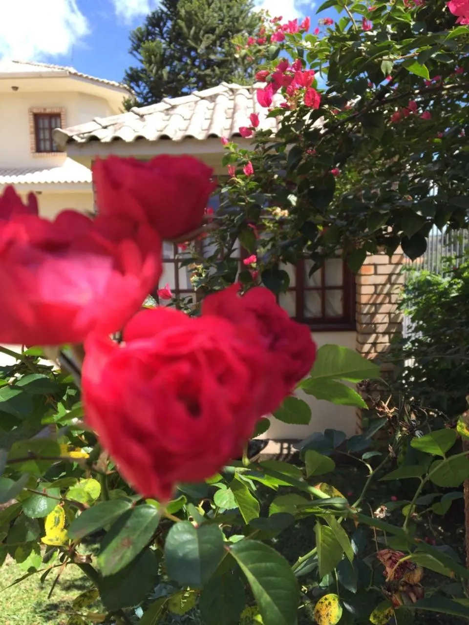 Spring in Villa Apart Hotel