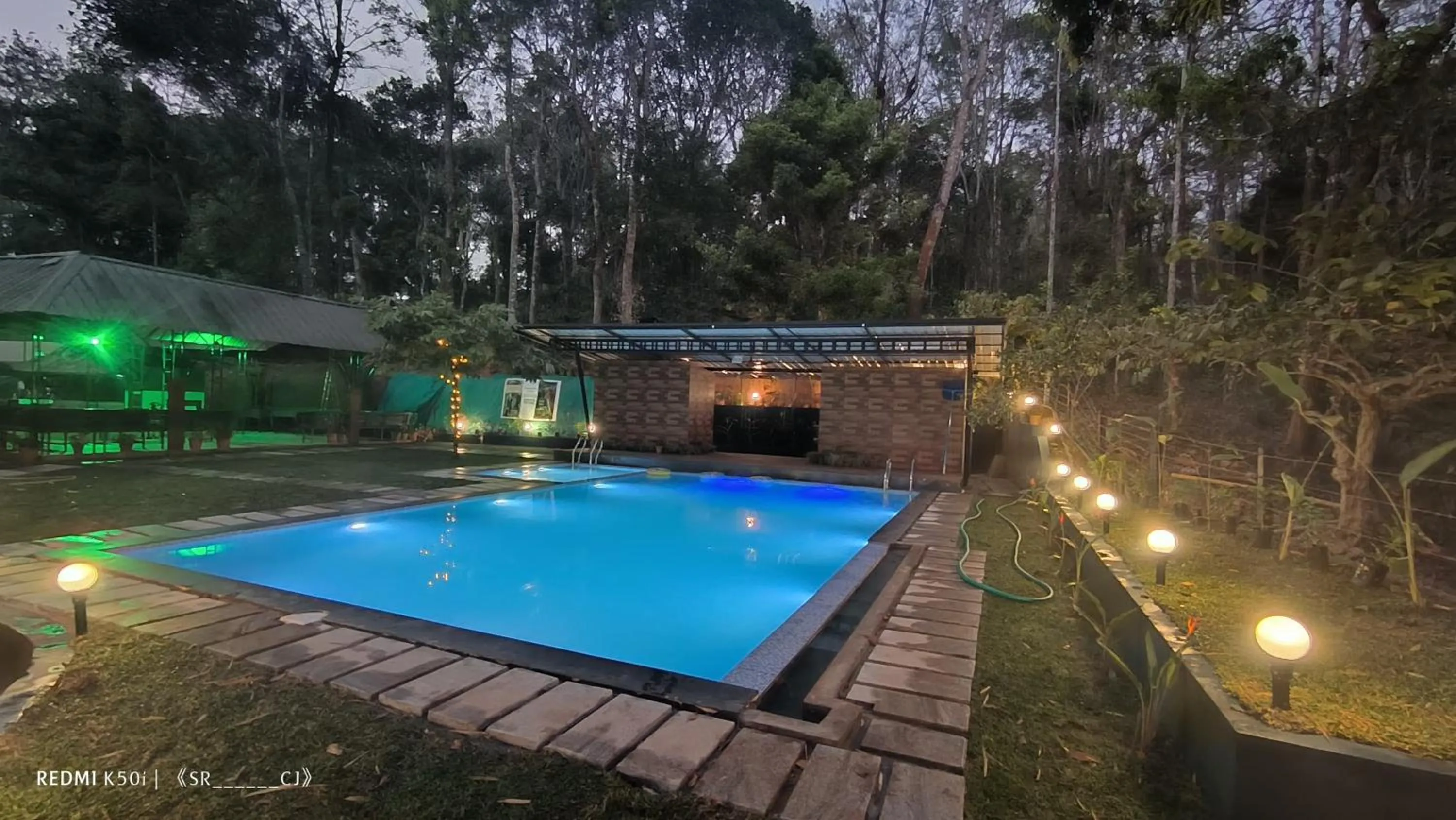 Swimming pool in Tree House Wayanad