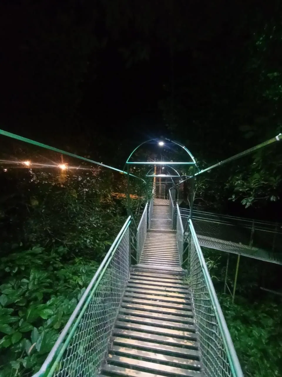 Night in Tree House Wayanad