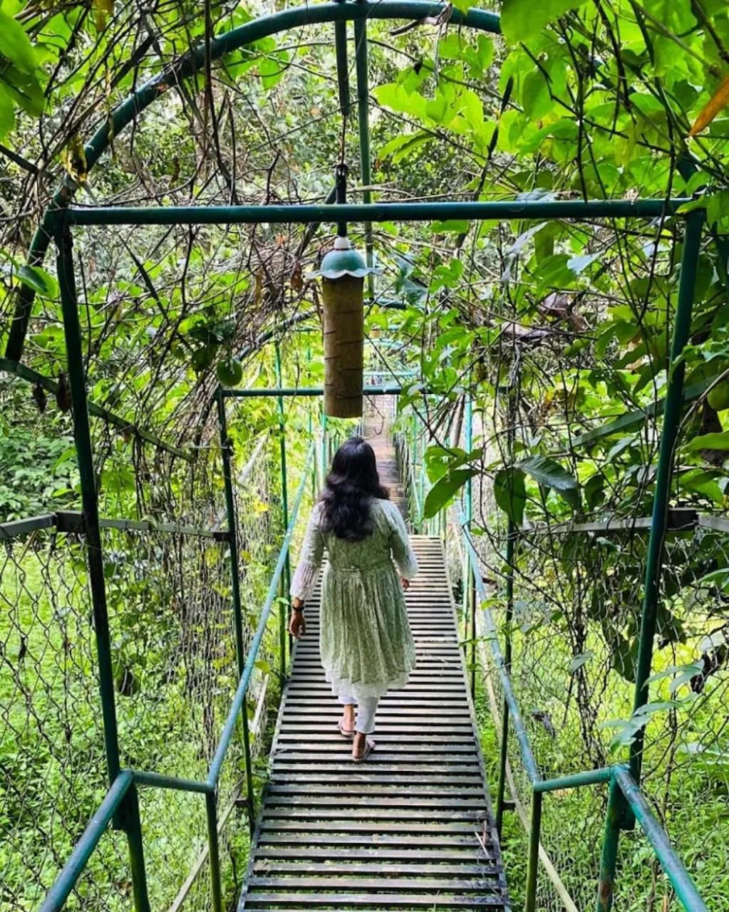 Day in Tree House Wayanad