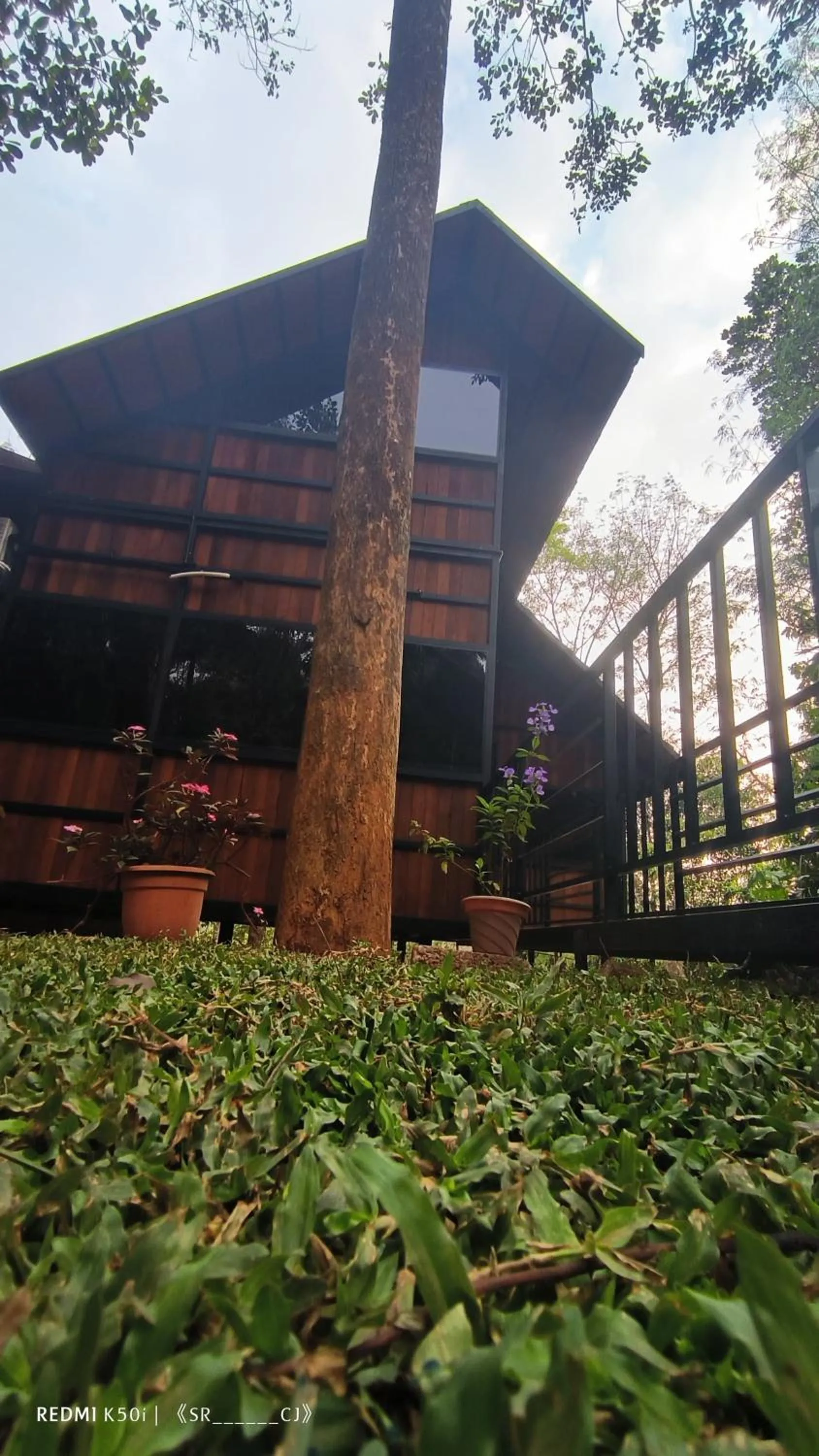 room service in Tree House Wayanad