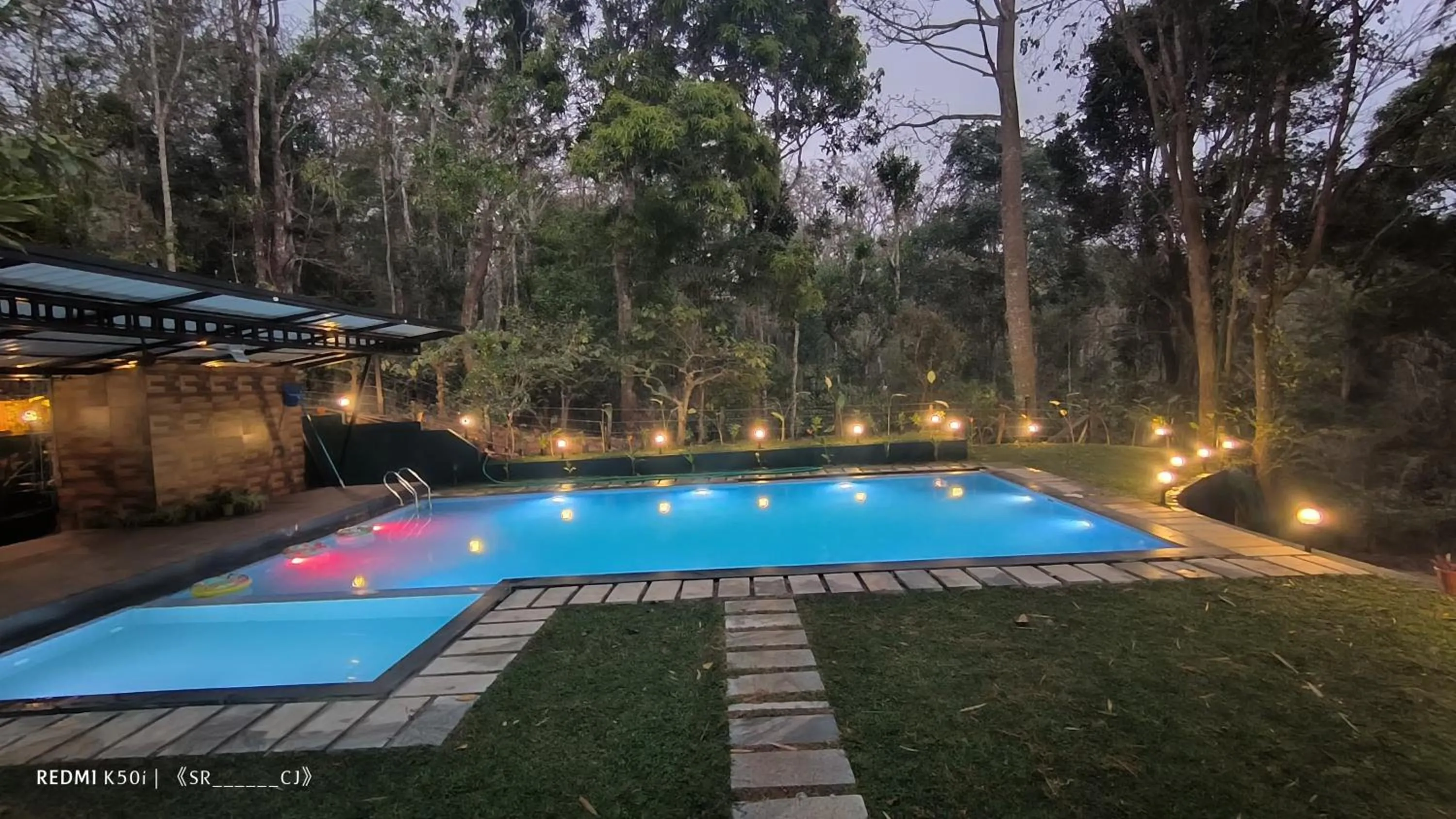Swimming pool in Tree House Wayanad