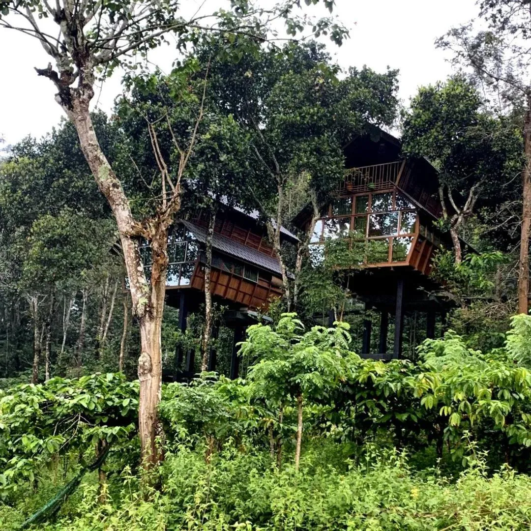 Property building in Tree House Wayanad