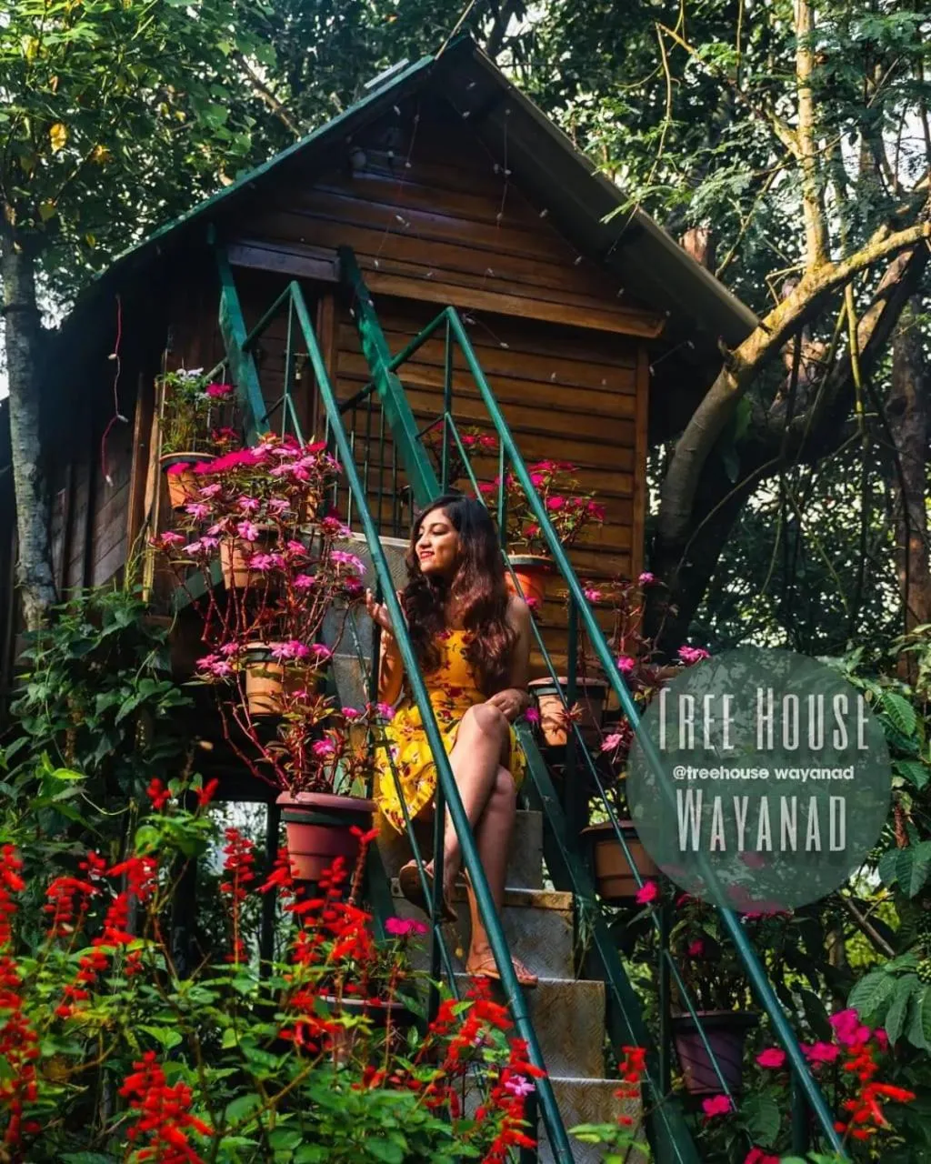 Property building in Tree House Wayanad