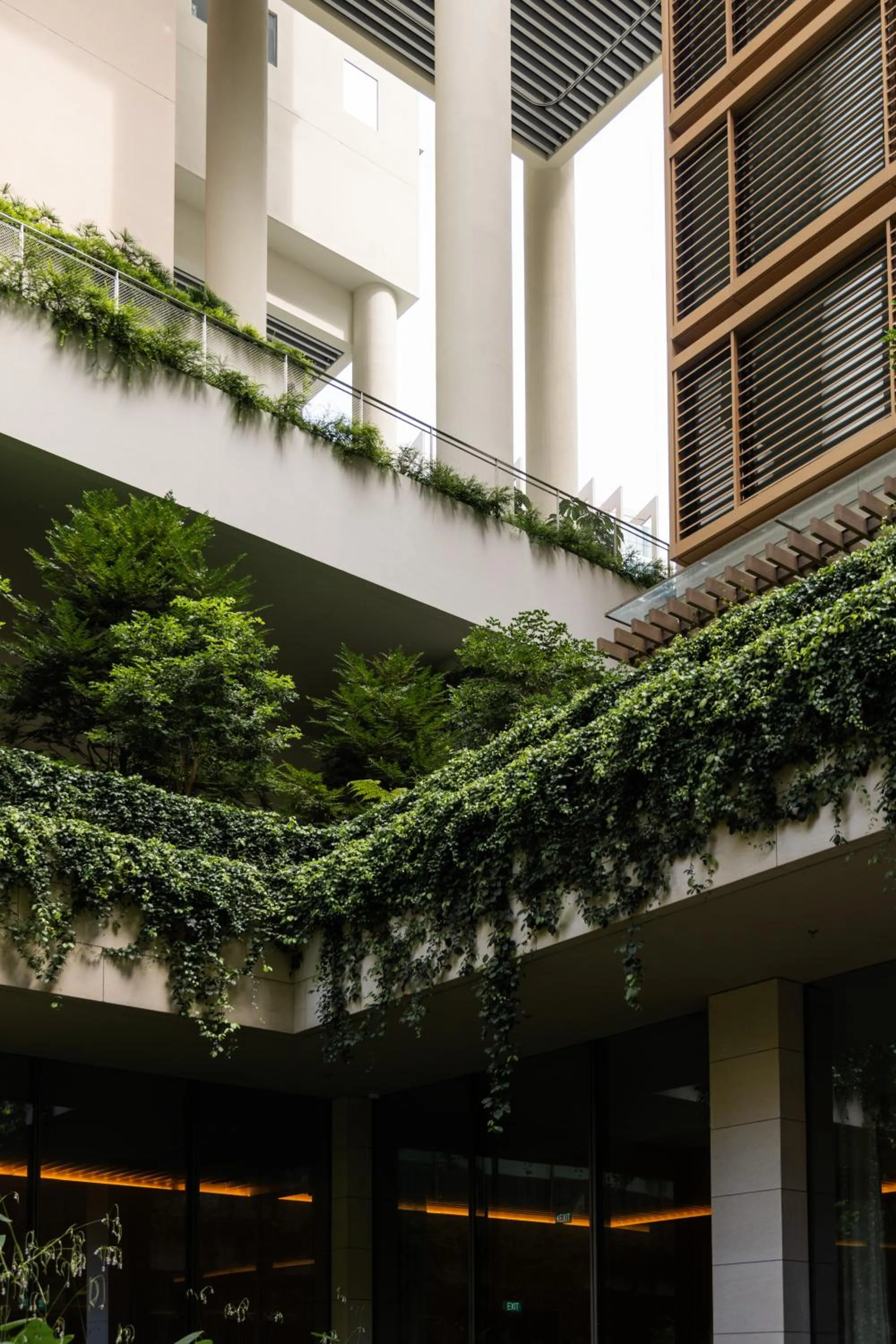 Garden in The Singapore EDITION