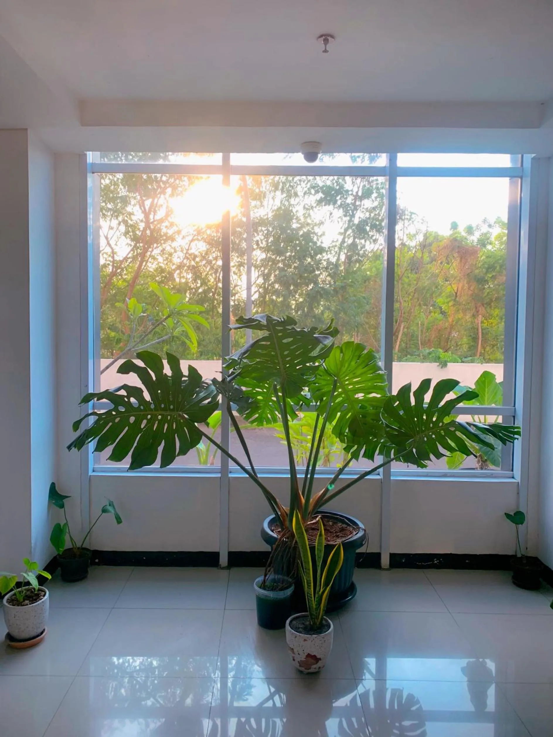 Apartemen Poris 88 by Benchmark