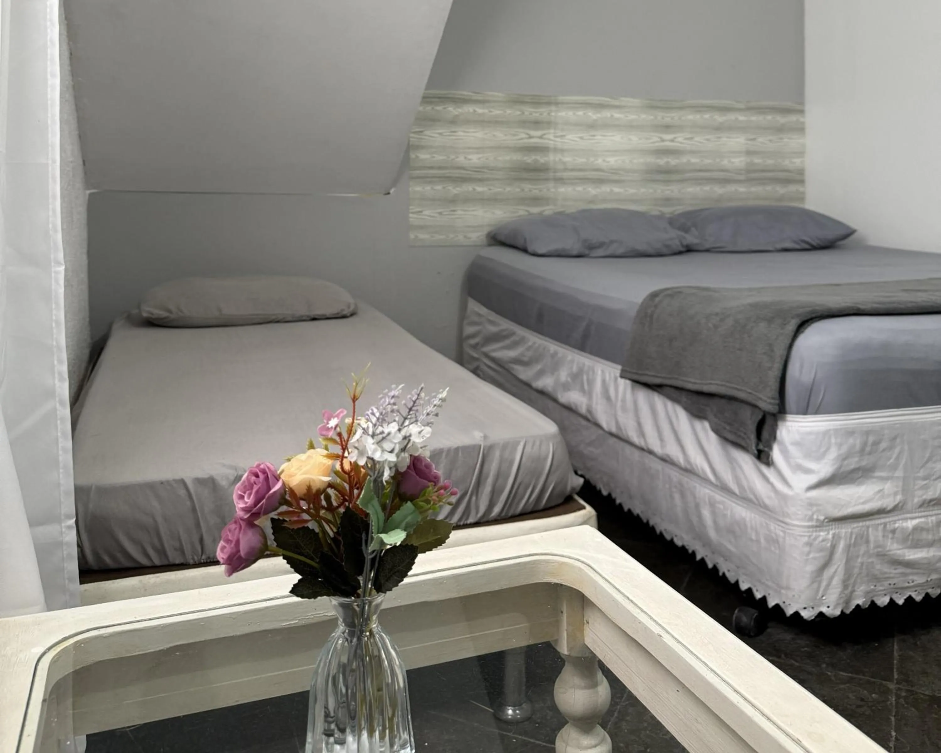 Suite in Hostel Rio Surf House
