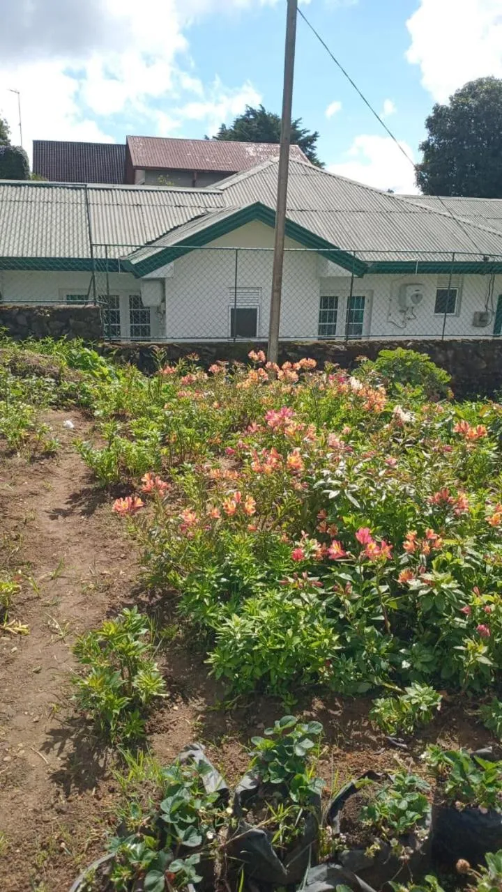 Frosty Heaven Guest House