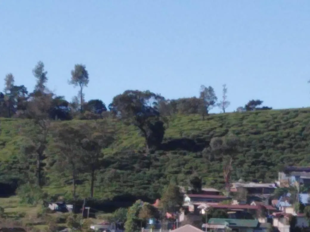Natural landscape in Frosty Heaven Guest House